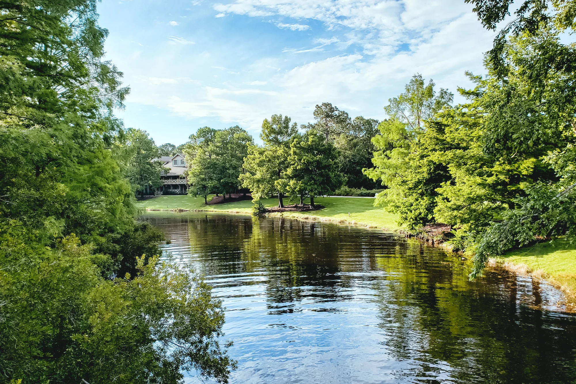 Disney World - Day 2