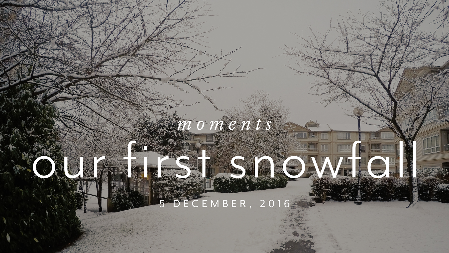Snowfall in Vancouver!