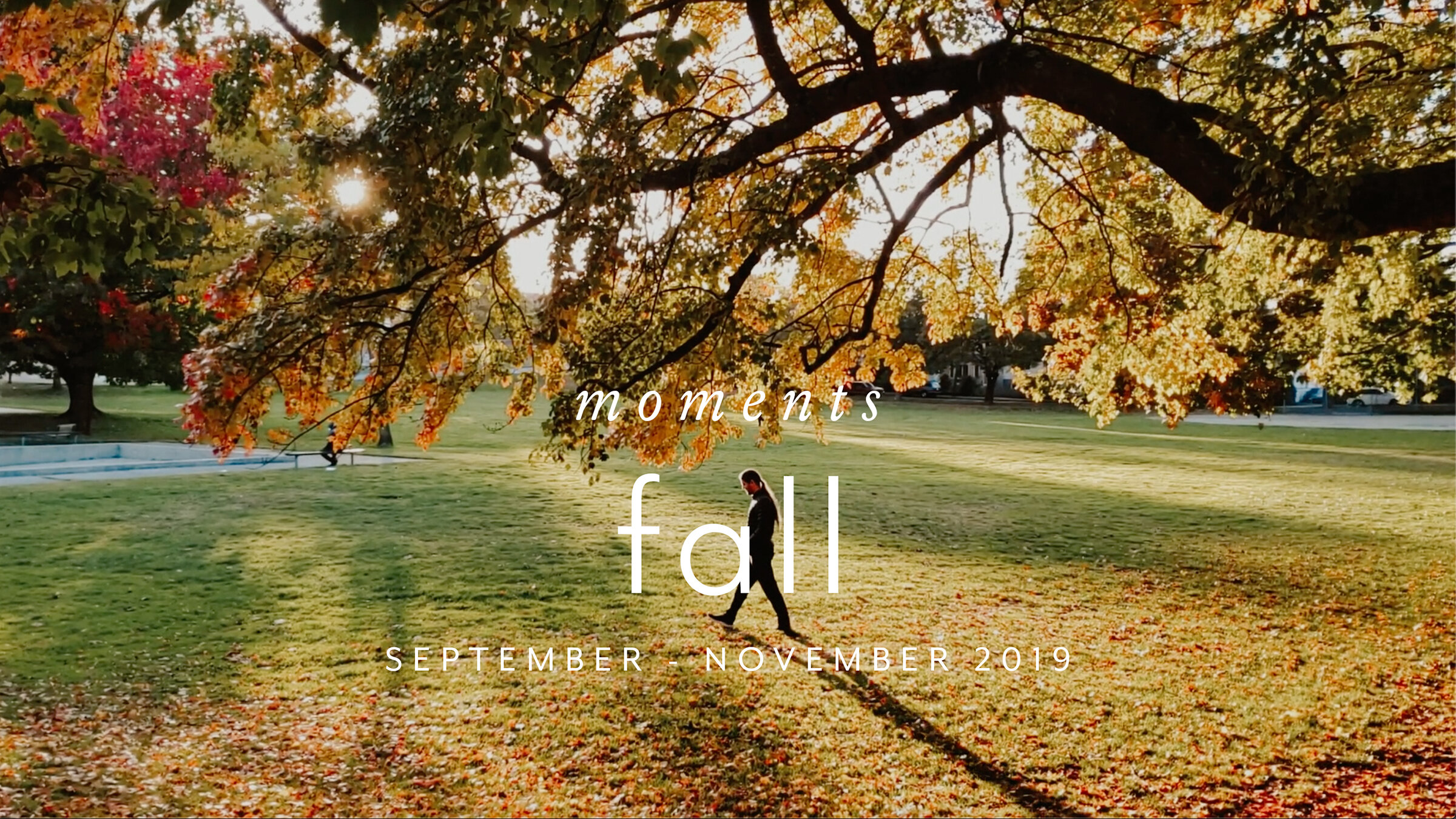 fall 2019 Β· moments