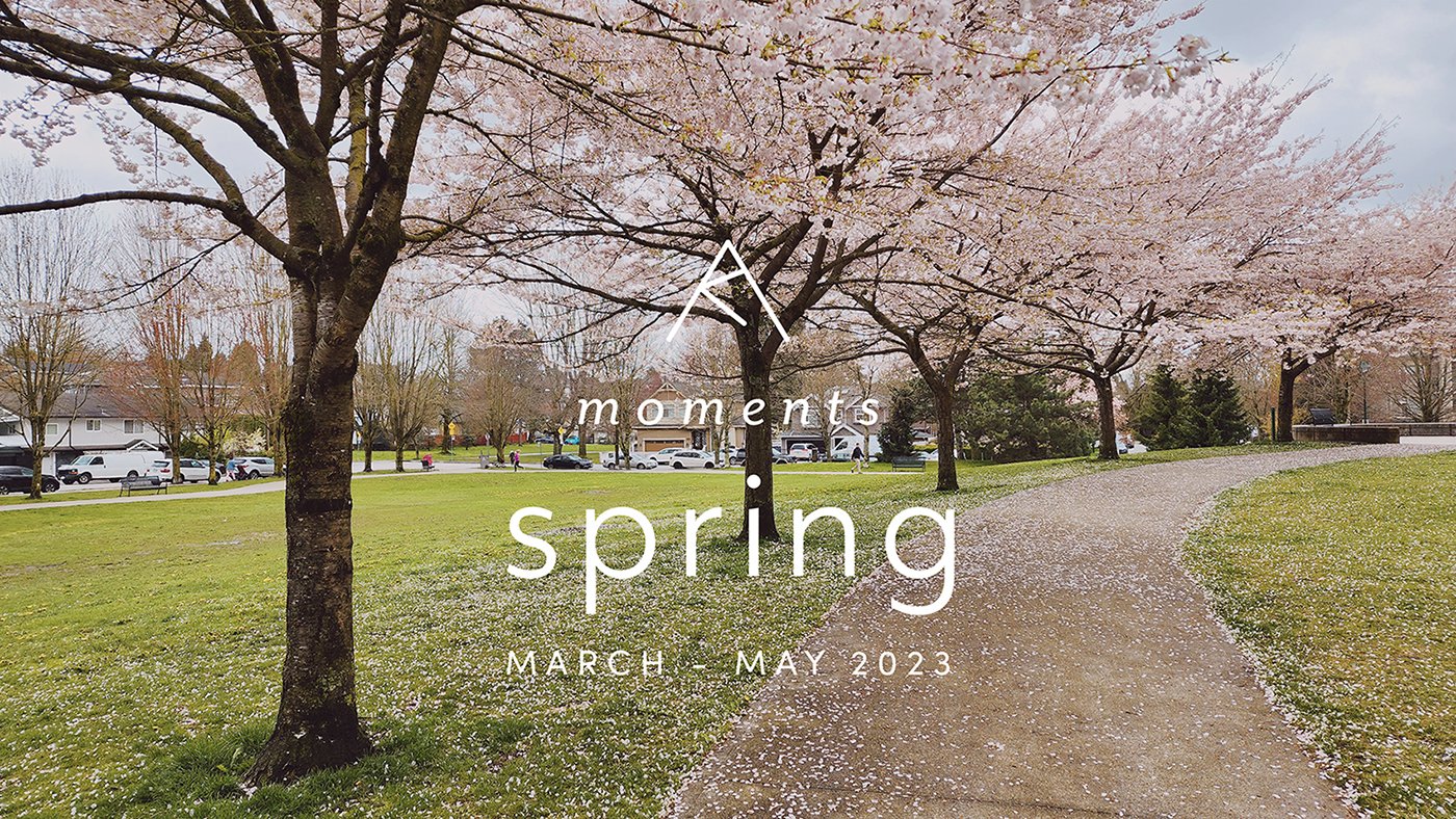 spring 2023 πΈ surgery, work events + wedding prep