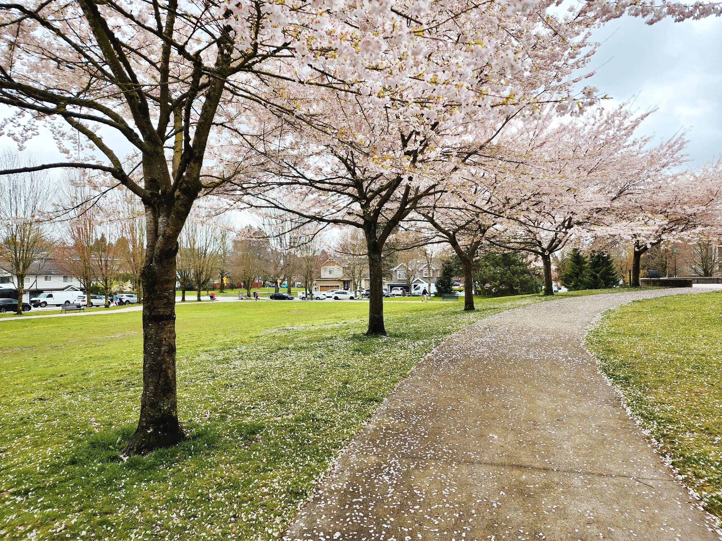 Spring 2023