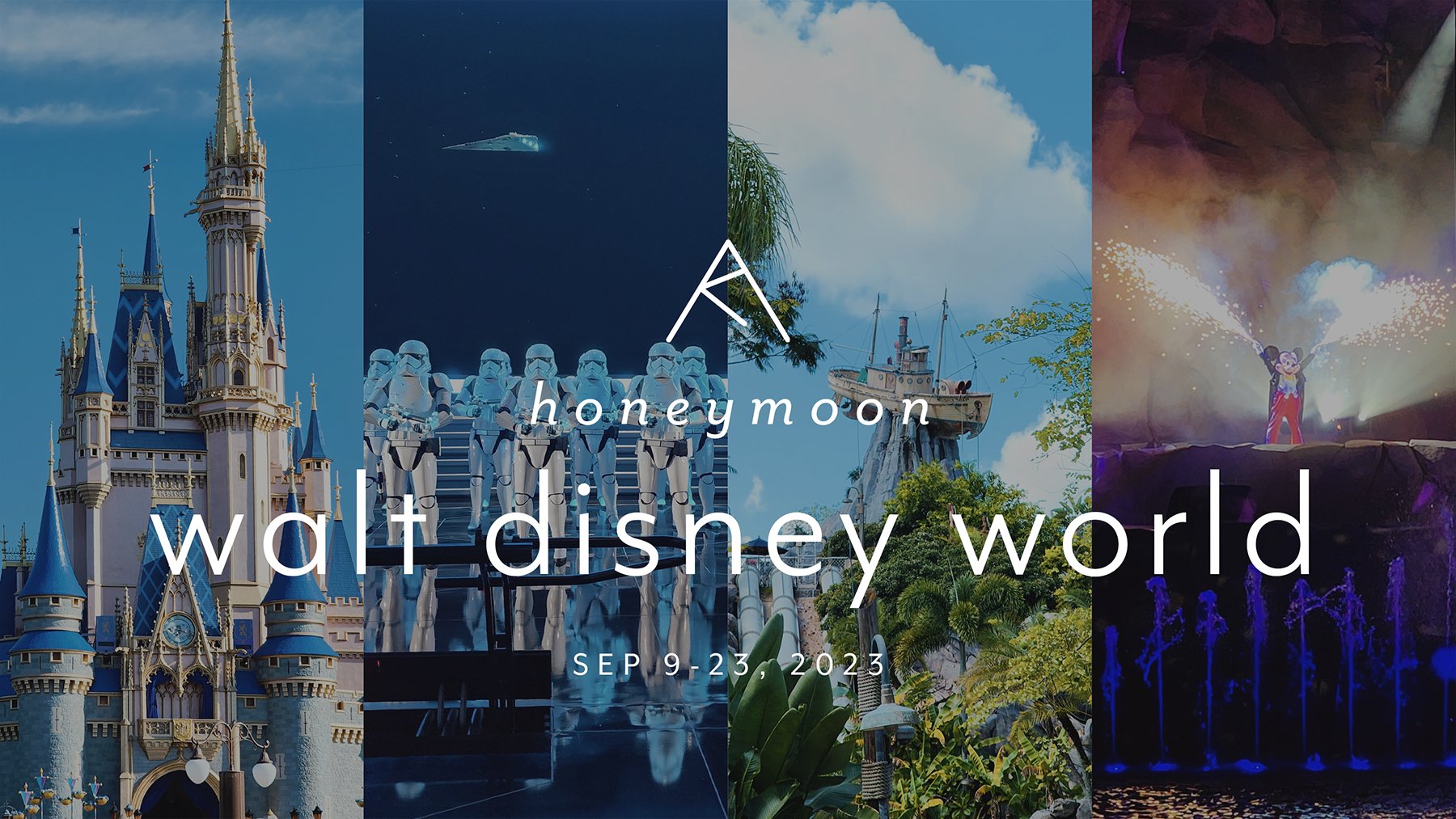walt disney world β¨ honeymoon