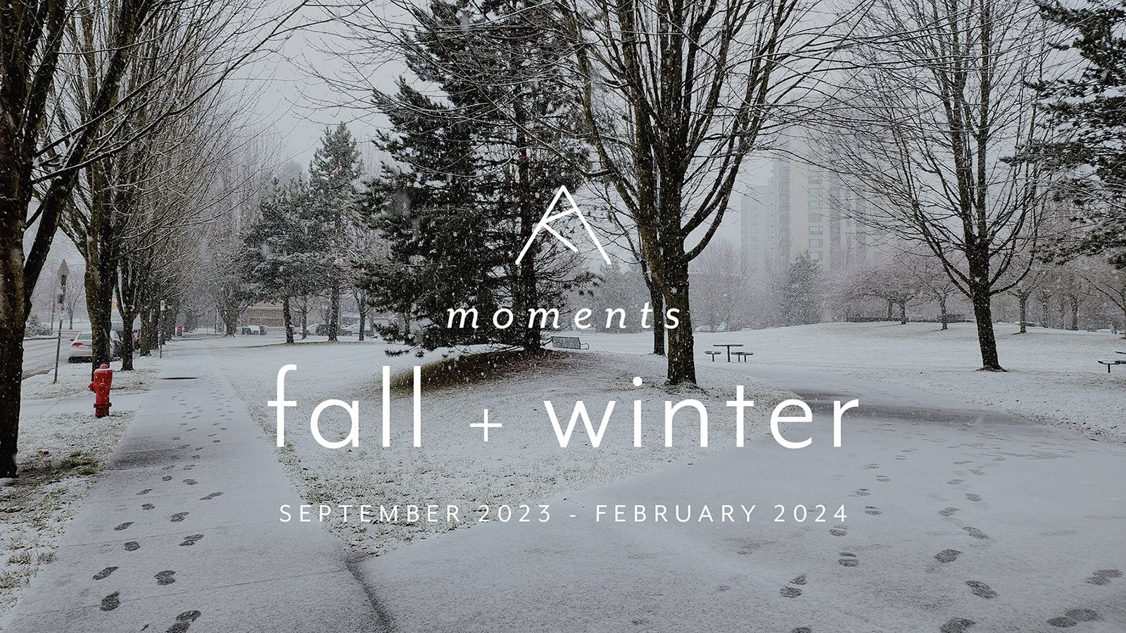 fall & winter 2023 πβοΈ coffee, work, snow + steak