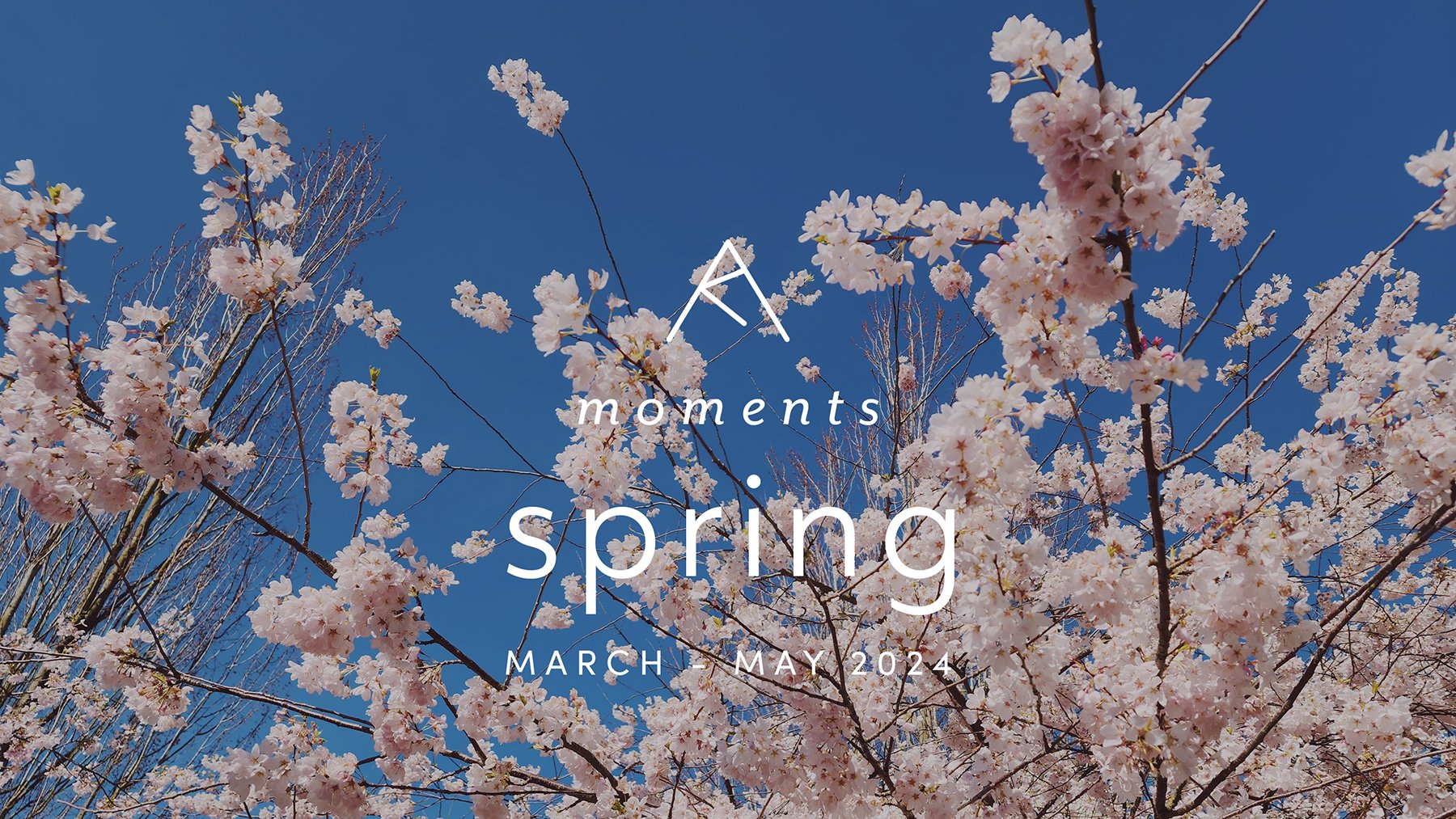 spring 2024 πΈ atlas, dentist + kelowna