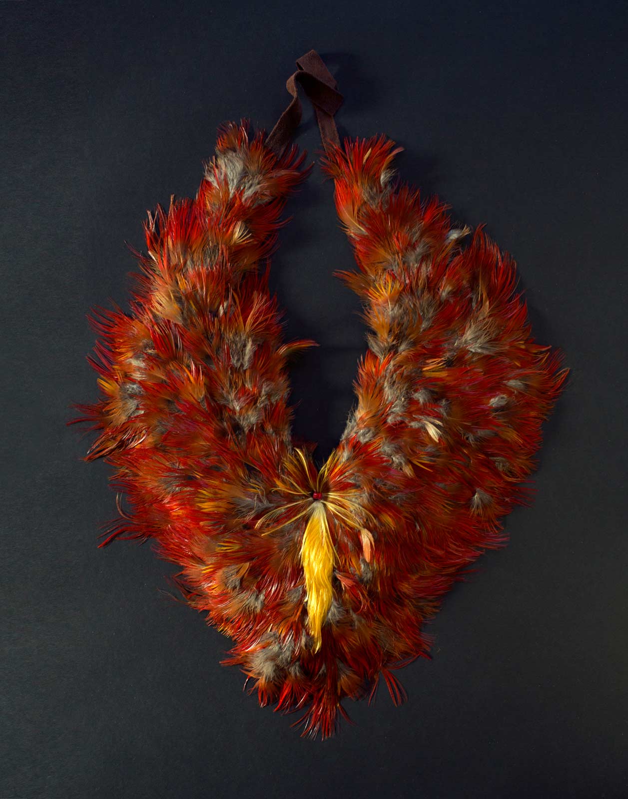 #55/14 of Golden pheasant feathers, 2014. Photograph by Faria Raji, courtesy of The Nartonis Project, 2015.