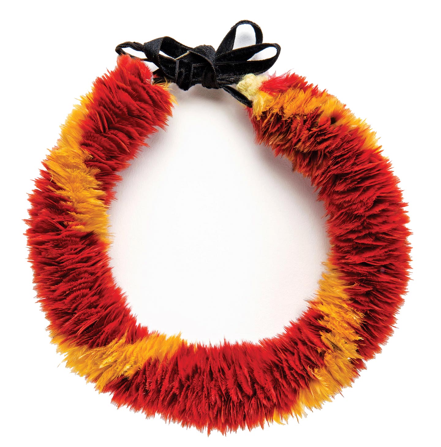 LEI HULU feather lei of yellow ‘o‘o ( Moho sp.) feathers, red Kuhl’s lorikeet ( Vini Kuhlii ) feathers, and black ribbon, 36.5 x 3.8 centimeters). Bernice Pauahi Bishop Museum, Ethnology Collection.
