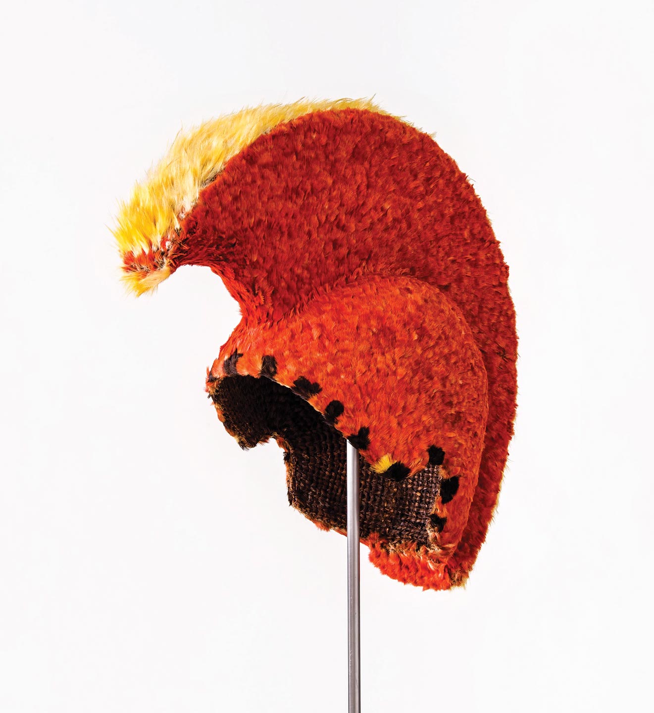 MAHIOLE feathered helmet of yellow mamo ( Drepanis pacifica ) feathers, red ‘i‘iwi ( Vestiaria coccinea ) feathers, black and yellow ‘o‘o ( Moho nobilis ) feathers ‘ie‘ie ( Freycinetia arborea ) aerial roots, and olona fiber, 36 x 16 x 36.5 centimeters, circa late eighteenth to early nineteenth century. Bernice Pauahi Bishop Museum, Ethnology Collection .