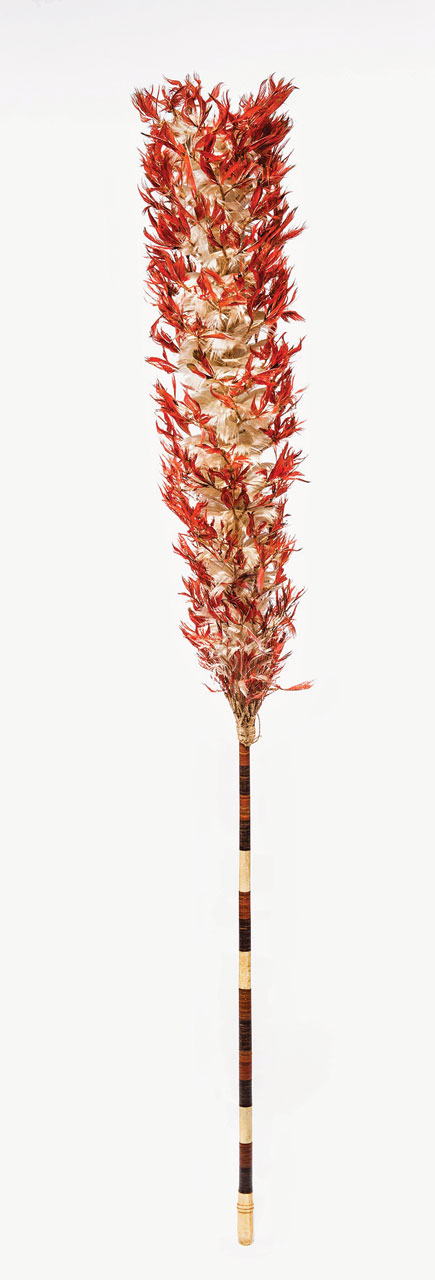 KAHILI STAFF of red Kuhl’s lorikeet ( Vini Kuhlii ) feathers, Hawaiian domestic fowl or moa ( Gallus gallus ) feathers, green, sea turtle ( Chelonia mydas ) shell, and walrus ( Odobenus rosmarus ) ivory, 129.5 x 15.2 centimeters, nineteenth century. Bernice Pauahi Bishop Museum, Ethnology Collection .