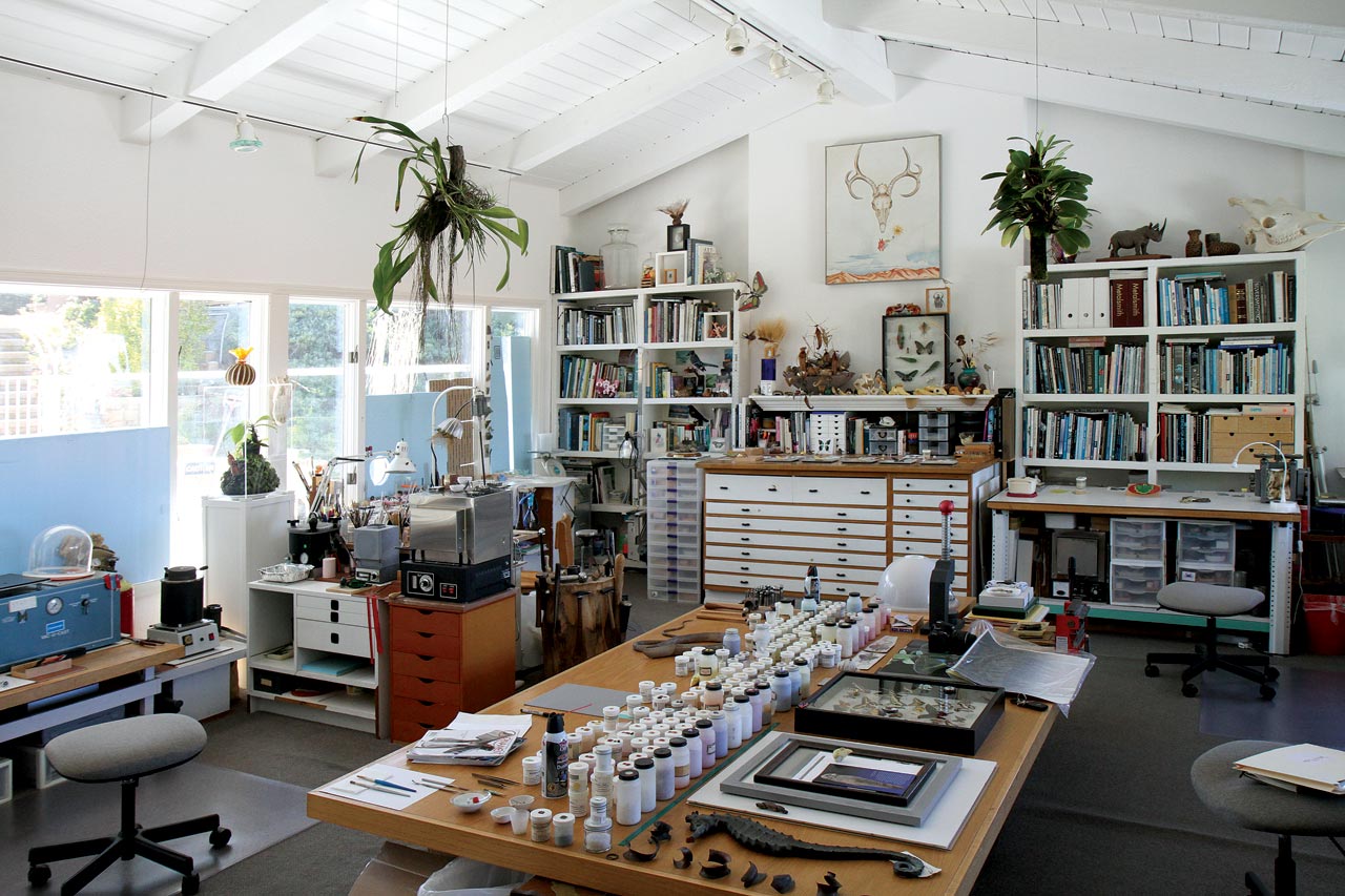 DAVID FREDA AND TRISH MCALEER’S SECOND FLOOR STUDIO, wonderfully flooded by light, partially blocked by removable blue window panels. Visible are enamel powder vials on tabletop (each with fired samples on lids), kilns, vacuum caster, metal melter, wax injector and metalworking tools, as well as biological study specimens and live plants, mostly orchids. Cabinets hold projects in progress. Photographs by Robert K. Liu/Ornament Magazine, except where noted.