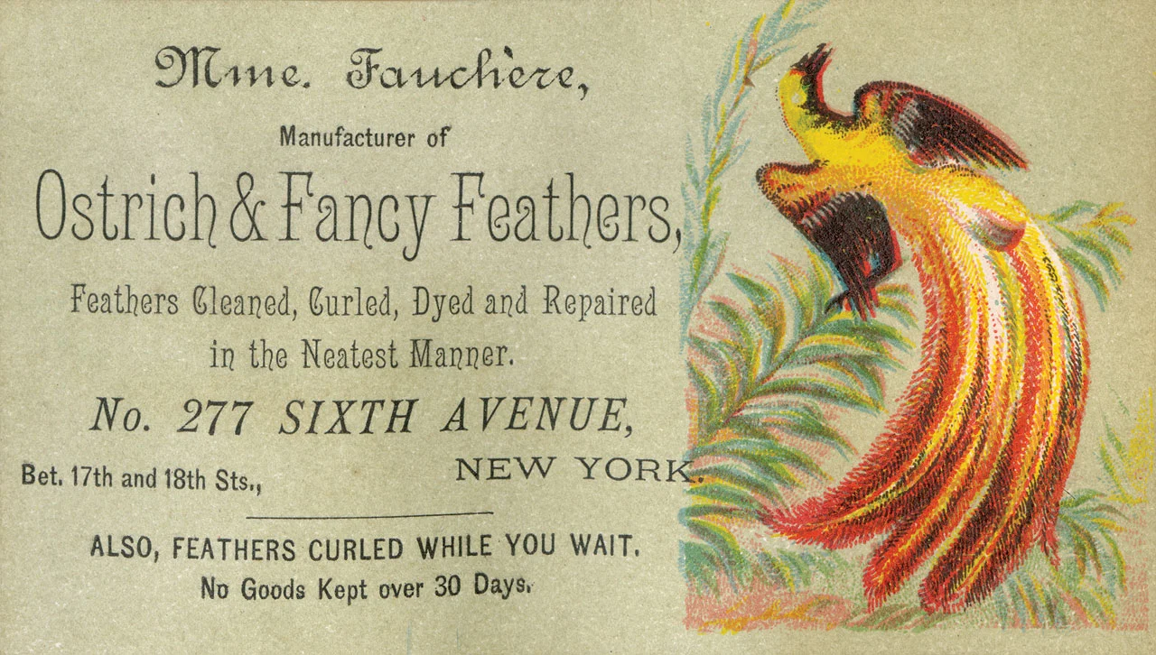 MME. FAUCHÈRE TRADE CARD, circa 1894. Numerous feather traders, importers and manufacturers were located in New York City. Many of the feathers incorporated into clothing and hats were imported from South America, South Africa and Africa. Game and plume hunters from Florida, Texas and Louisiana supplied many of the domestic feathers. 