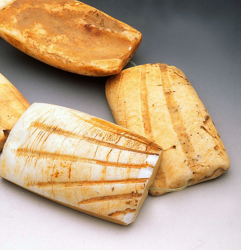 Closeup of a strand of Arca shell beads, showing obverse and reverse sides; the bead to the lower left is a glass copy. These are known in the trade as hippo teeth, although these do not resemble the teeth of that aquatic animal. Glass copies were made by Europeans, probably Czech; they are flat on their reverse sides. RKL