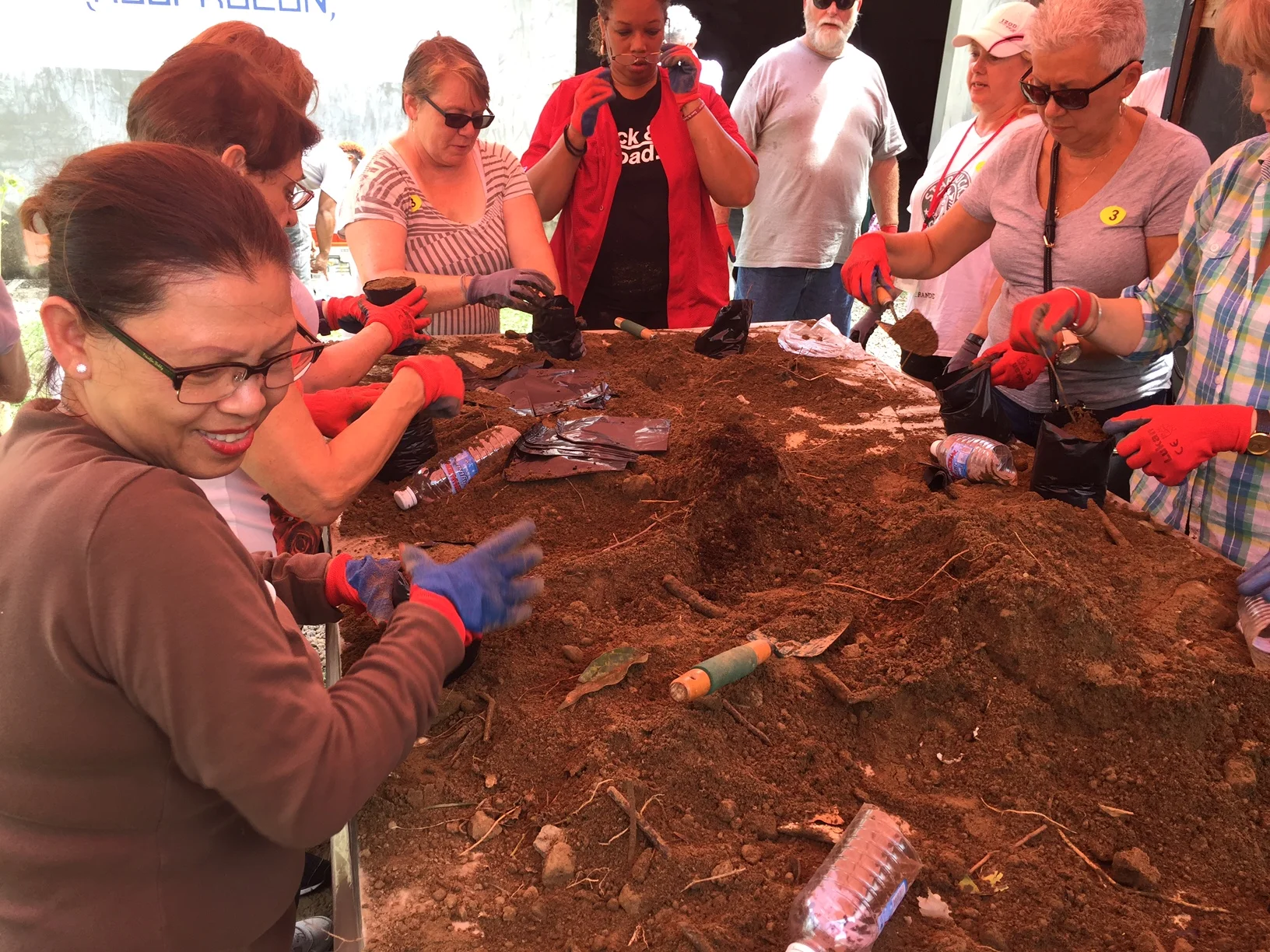 Mom packing the soil