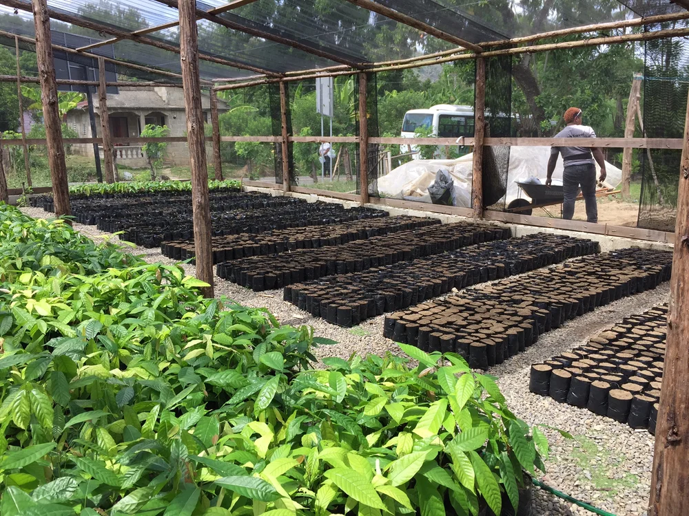 The final product in the nursery!