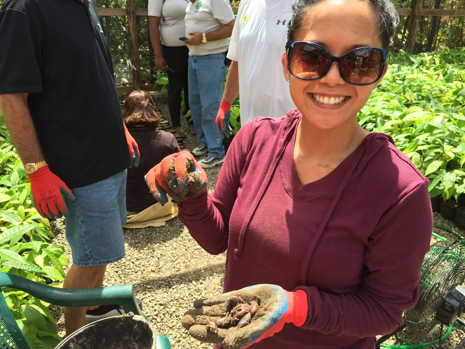 Planting the seed into the soil!