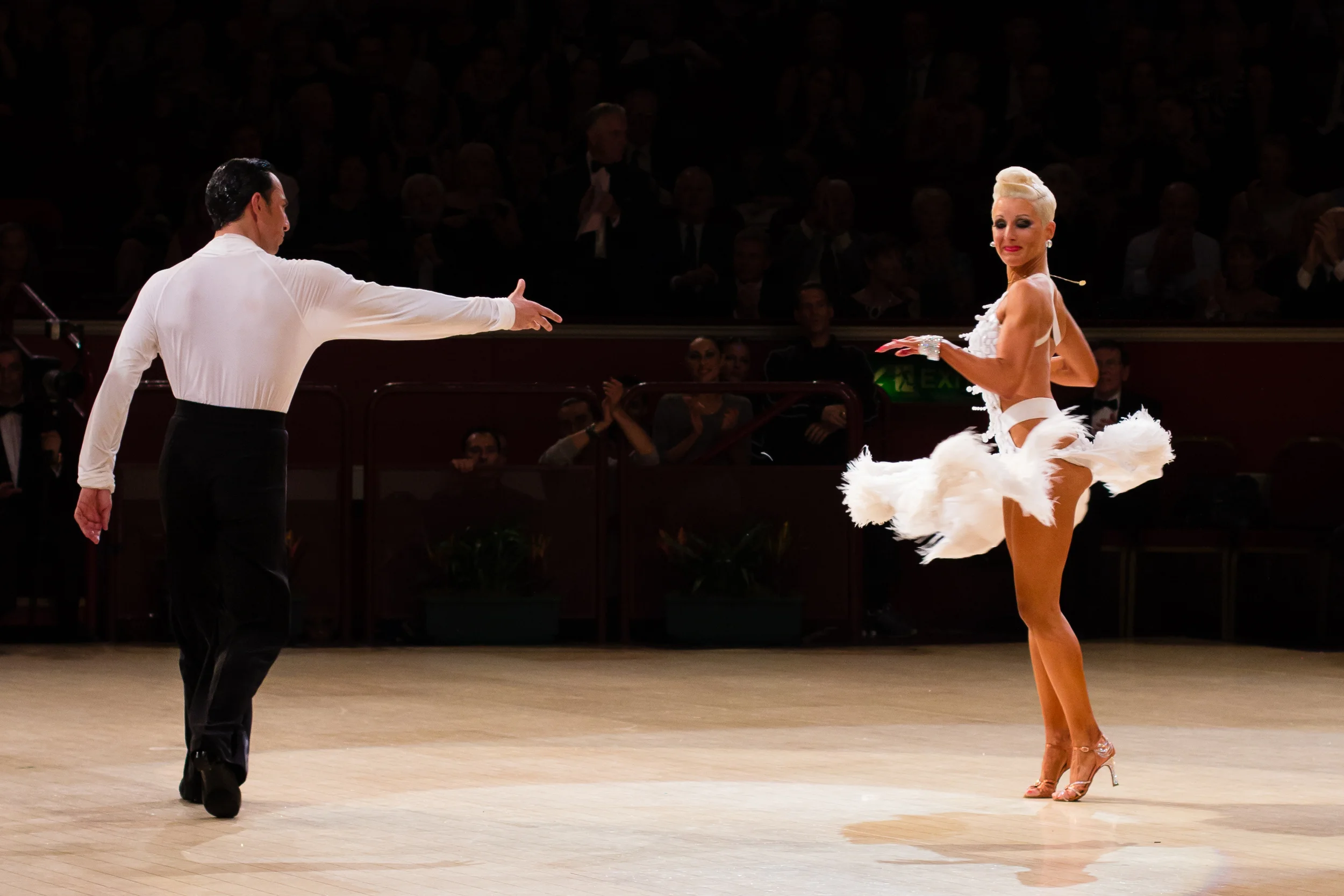 RAH IBDC 2674 IMG_2629.jpg