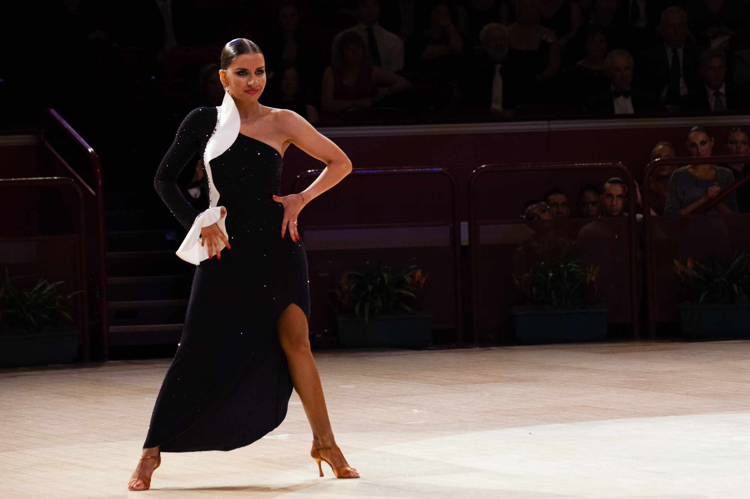 RAH IBDC 2643 IMG_3902.jpg