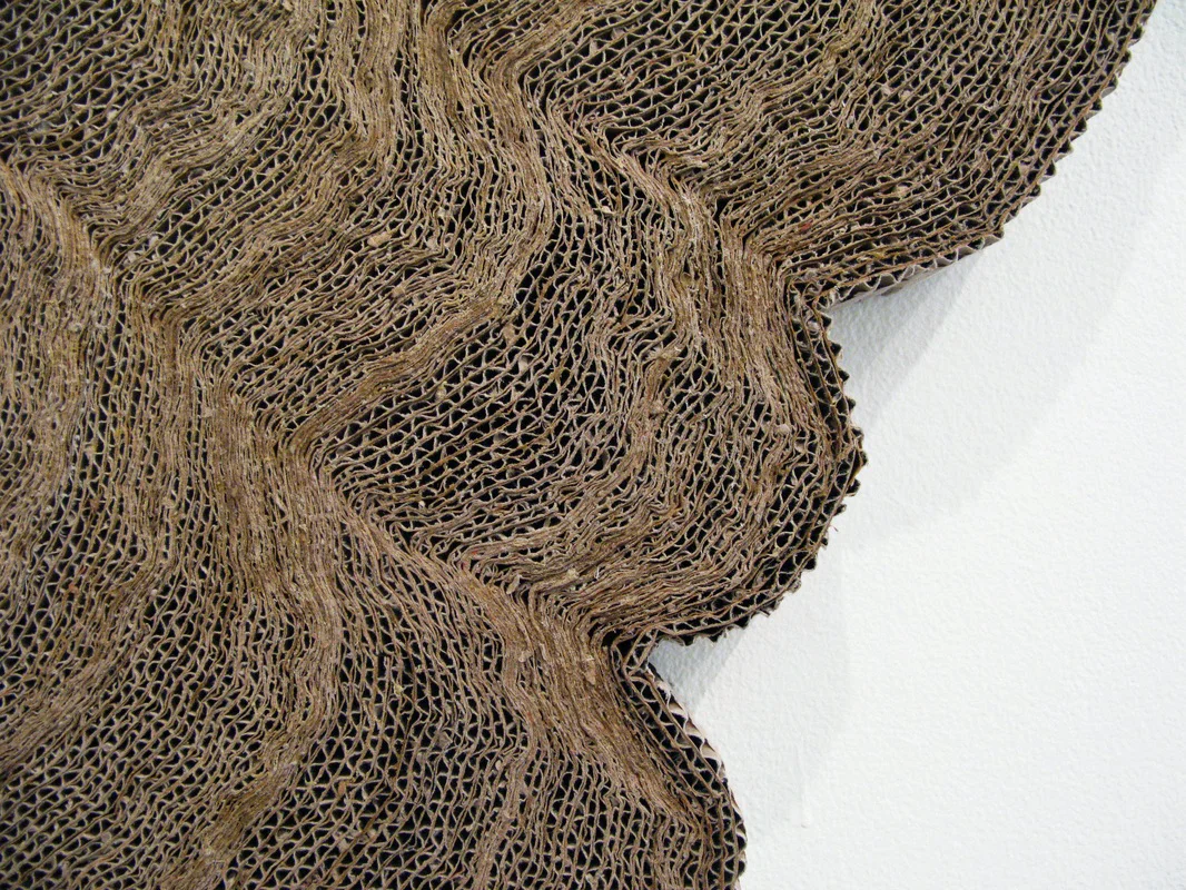 Tree ring detail .jpg