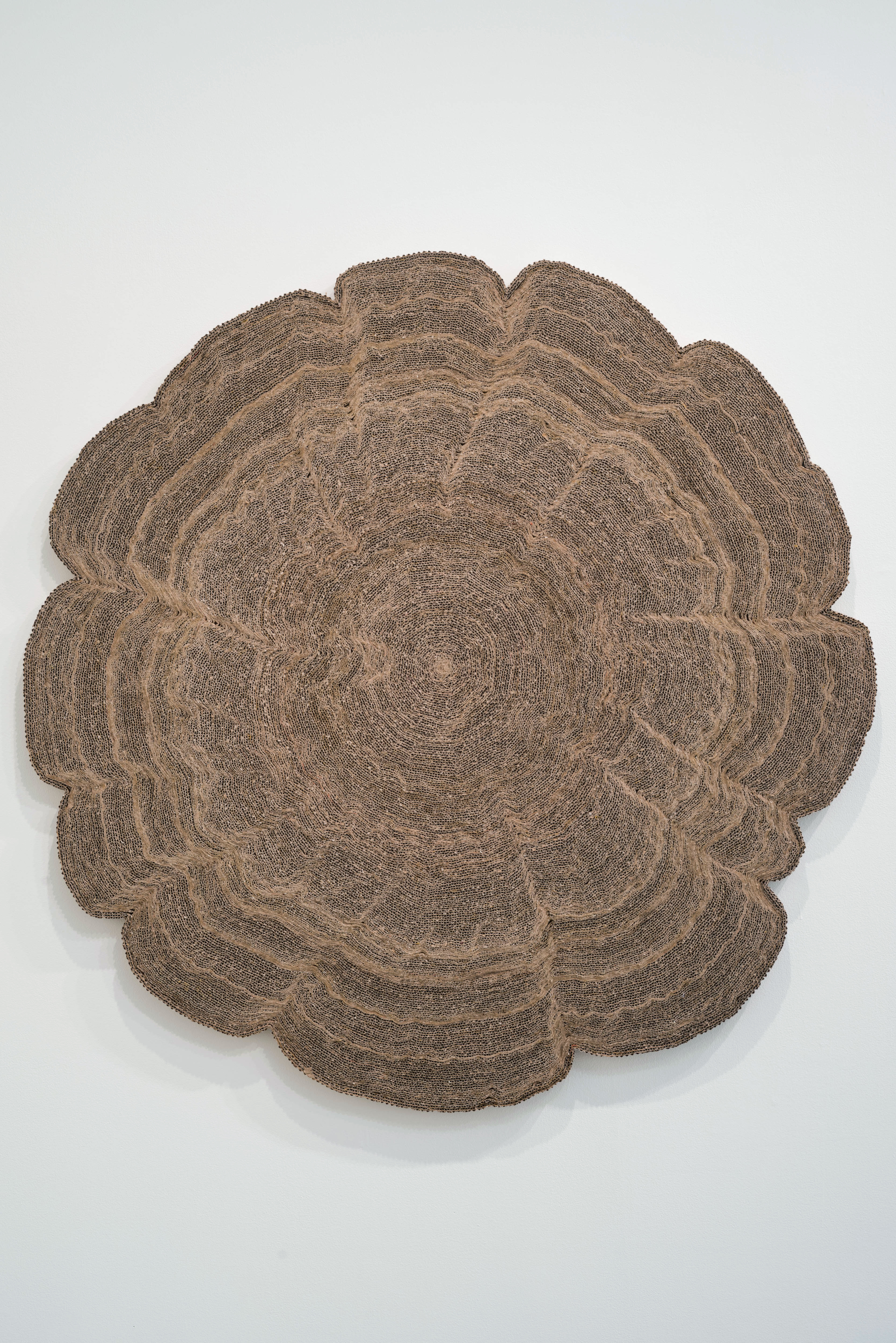 Tree ring.jpg