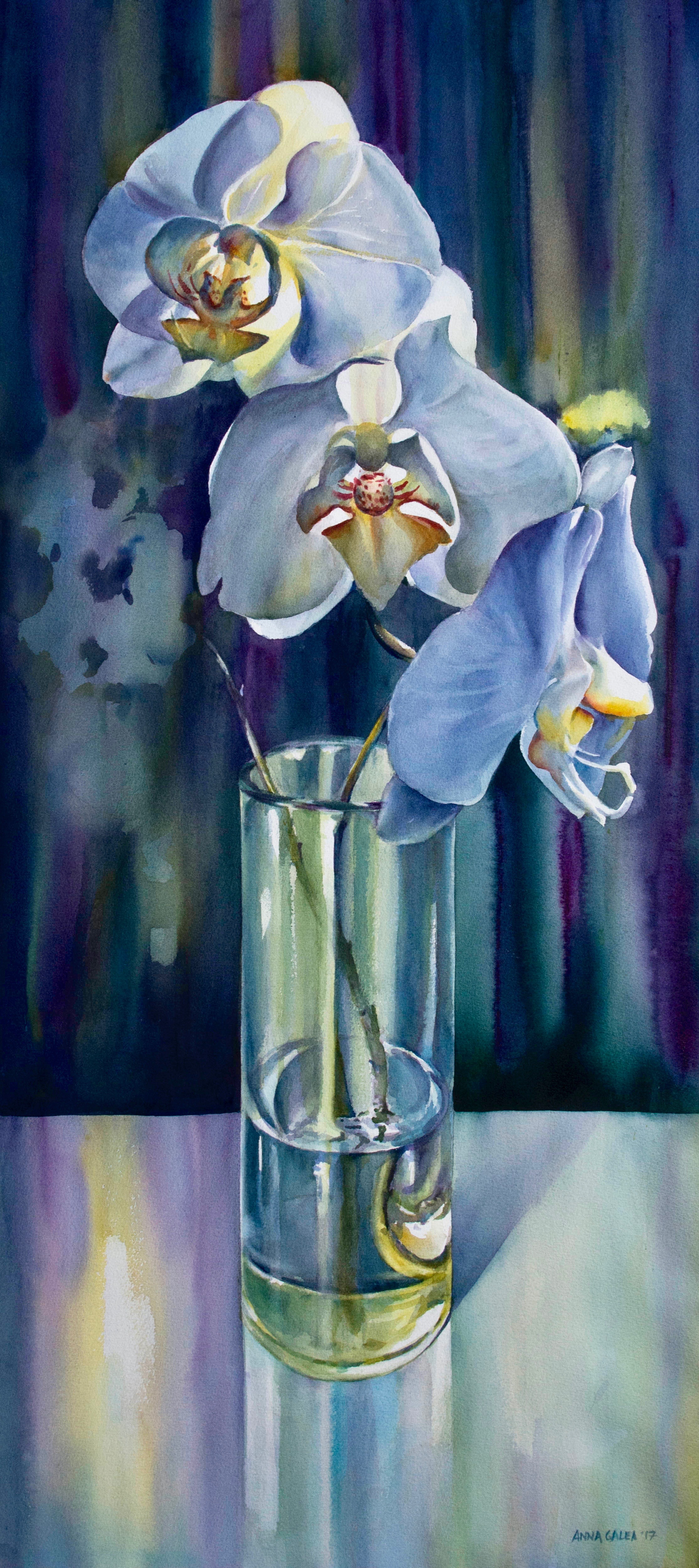 Orchids, 2017, Watercolour, 47 x 21 inches