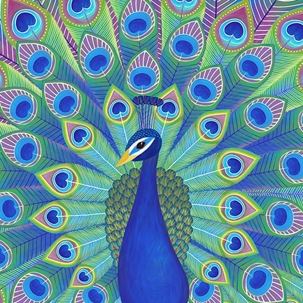 HM_16077_Peacock.jpg