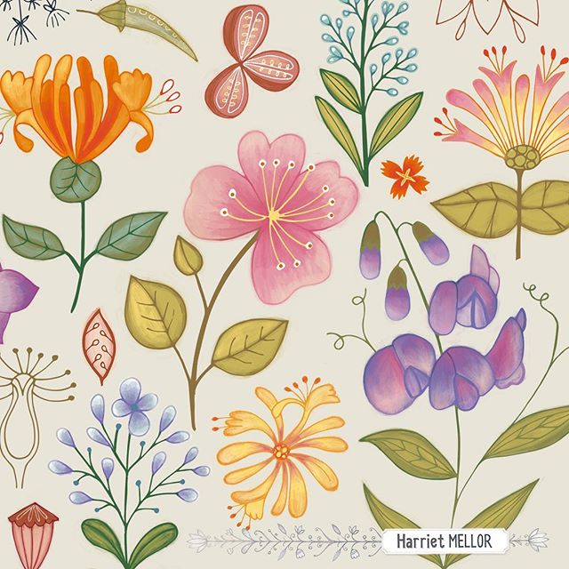 After weeks of show follow up and holidays 😀 , getting started on some new designs. Inspired by @victoriajohnsondesign #exploreflorals #flowers #vintage #botanical #illustration #surfacedesign #harrietmellor