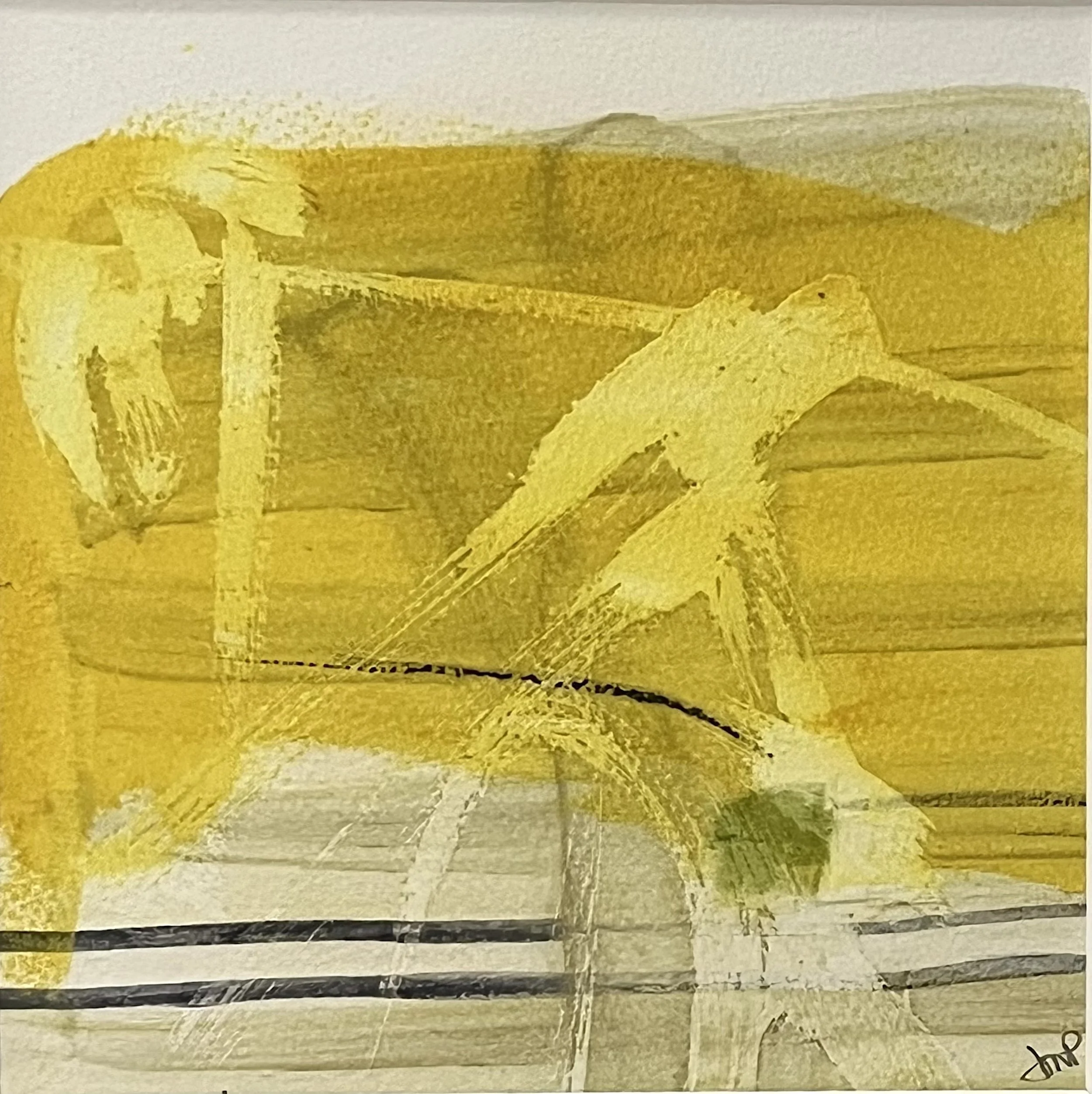 Yellow with Highlights (Field Study series 2026)