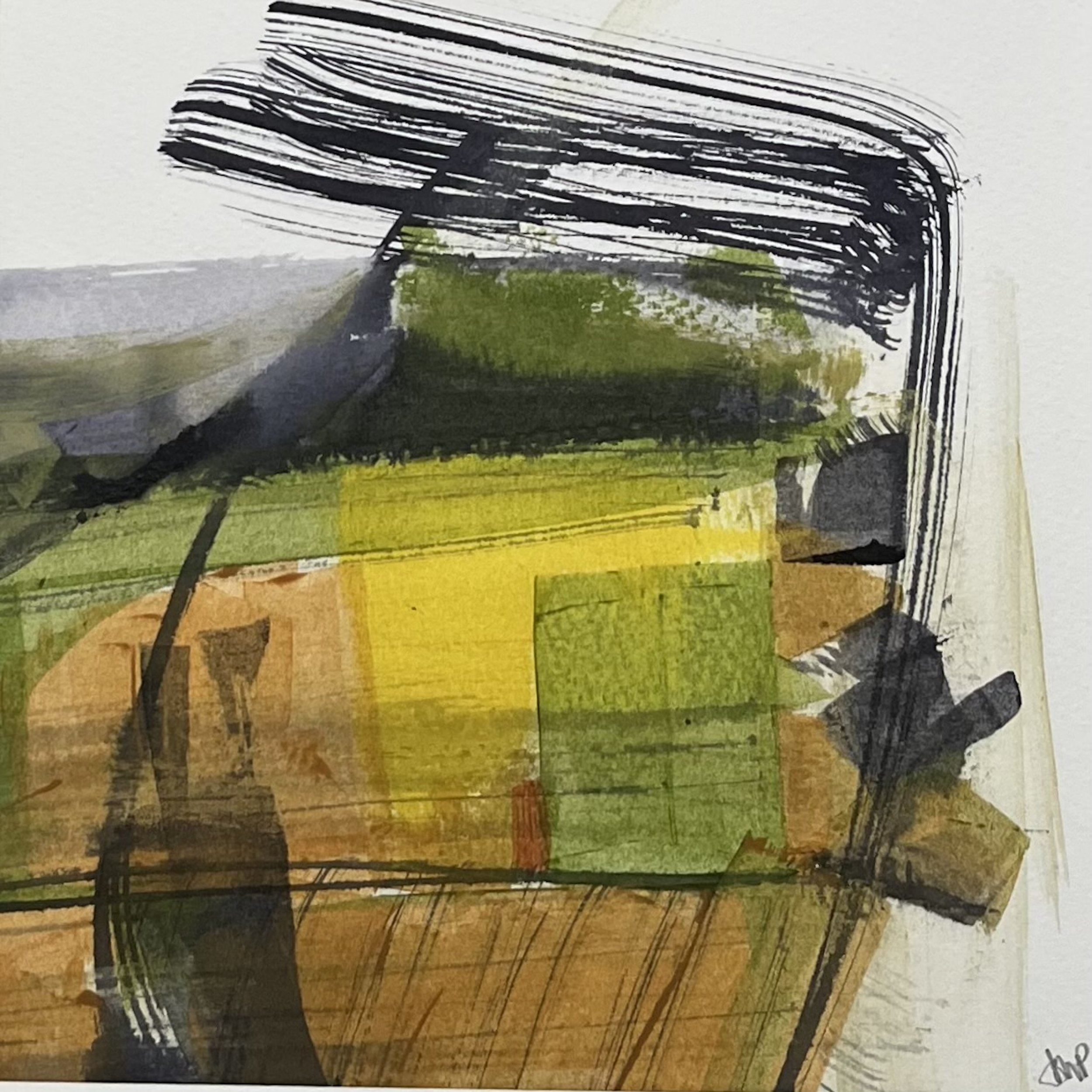 Yellow Field  (Field Study series 2026)