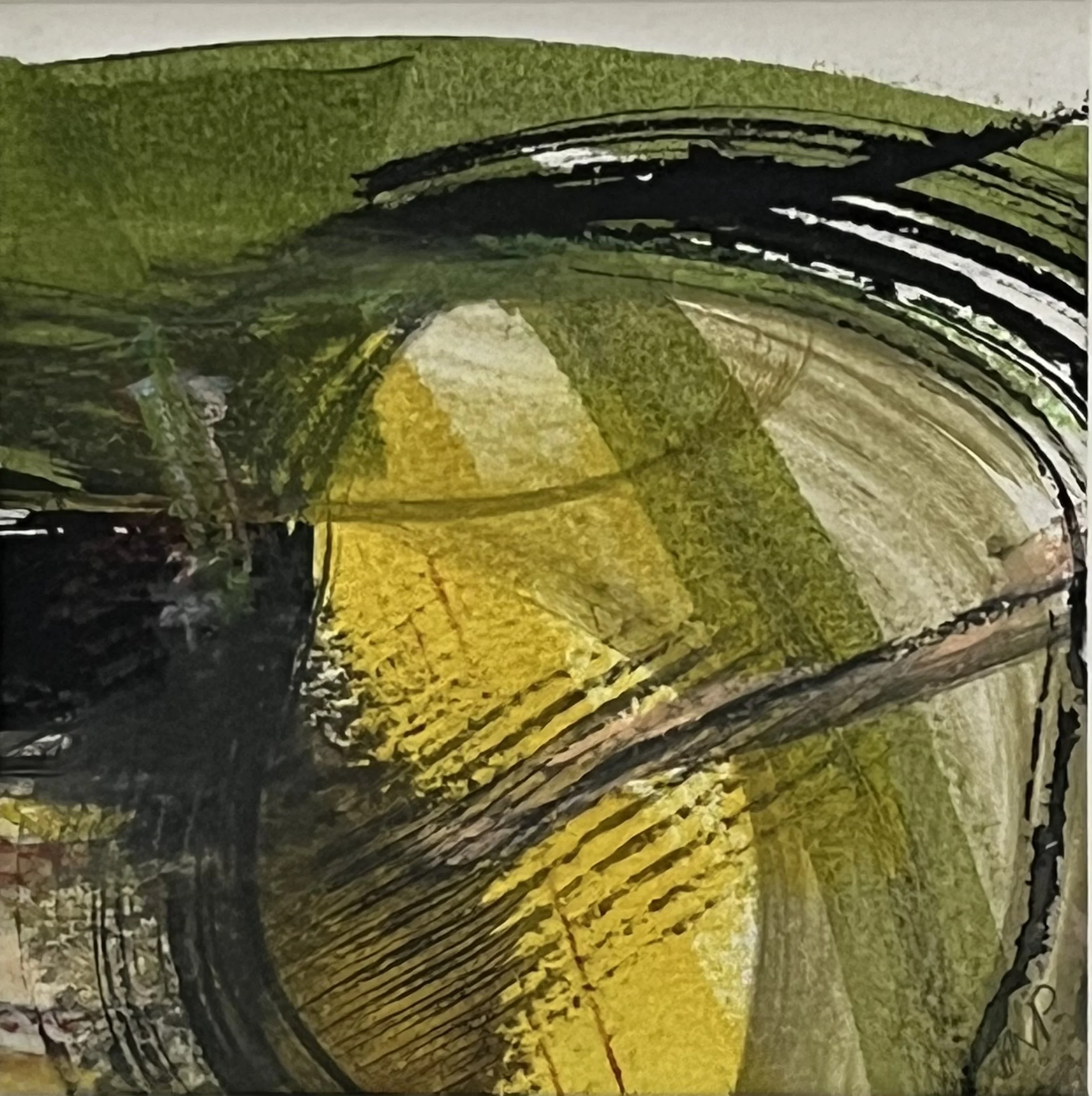 Soft Downs (Field Study series 2026)