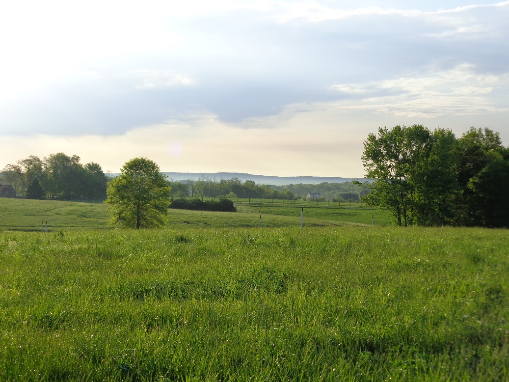 Second Spring Farm — EAT OUR VEGETABLES!