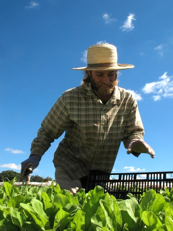 Second Spring Farm — About the Farm