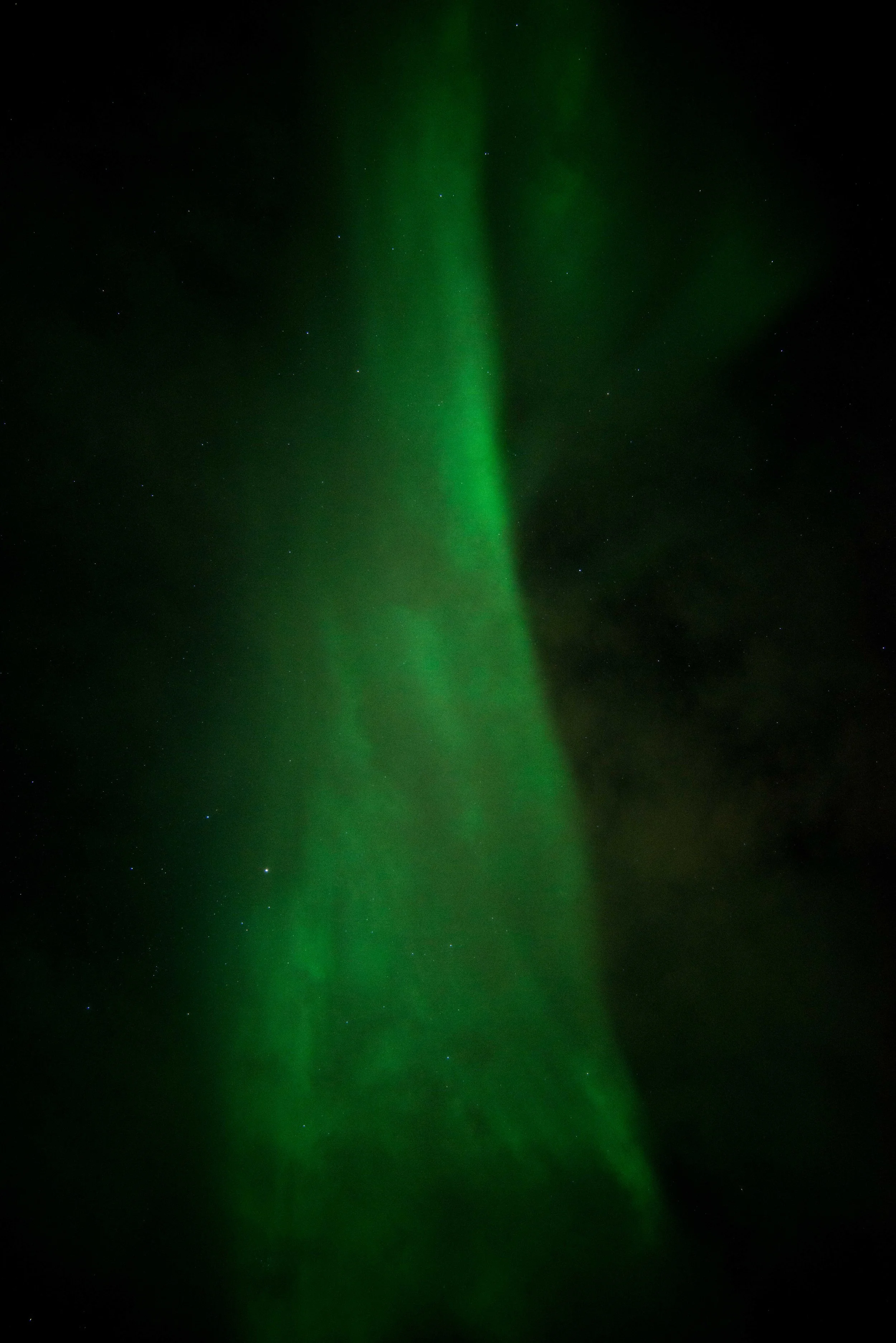 DSC_7101.jpg