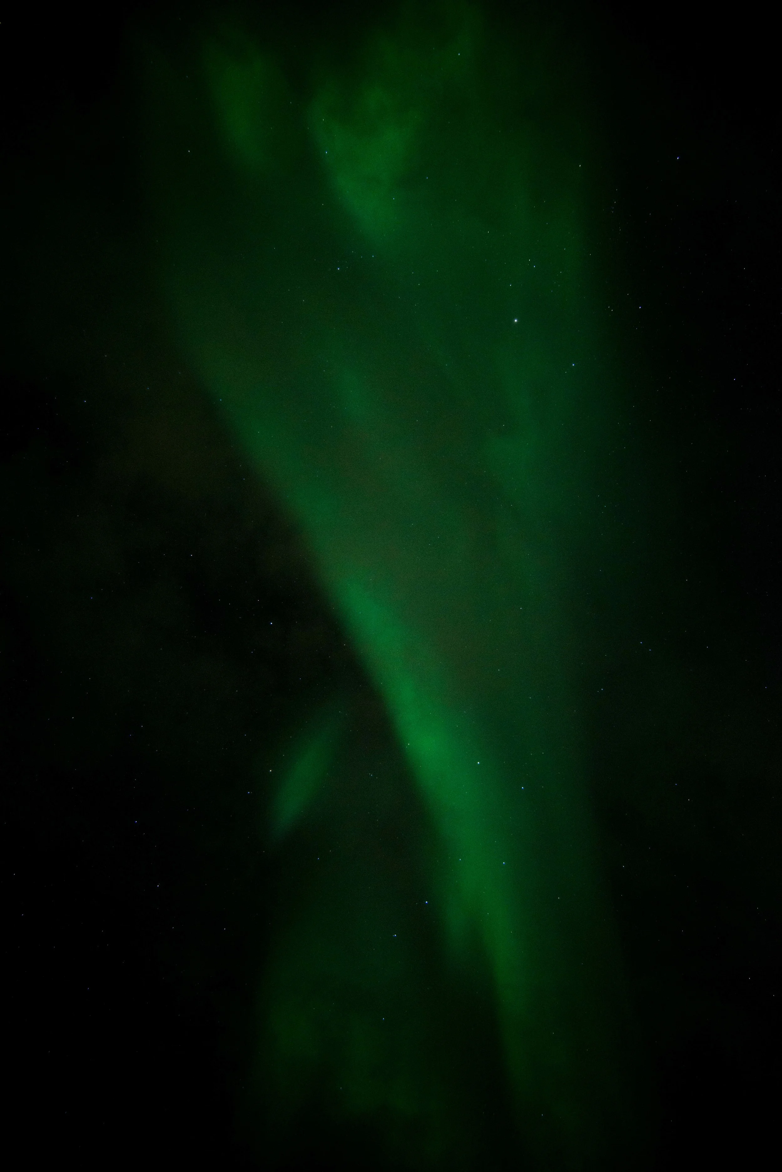 DSC_7106.jpg