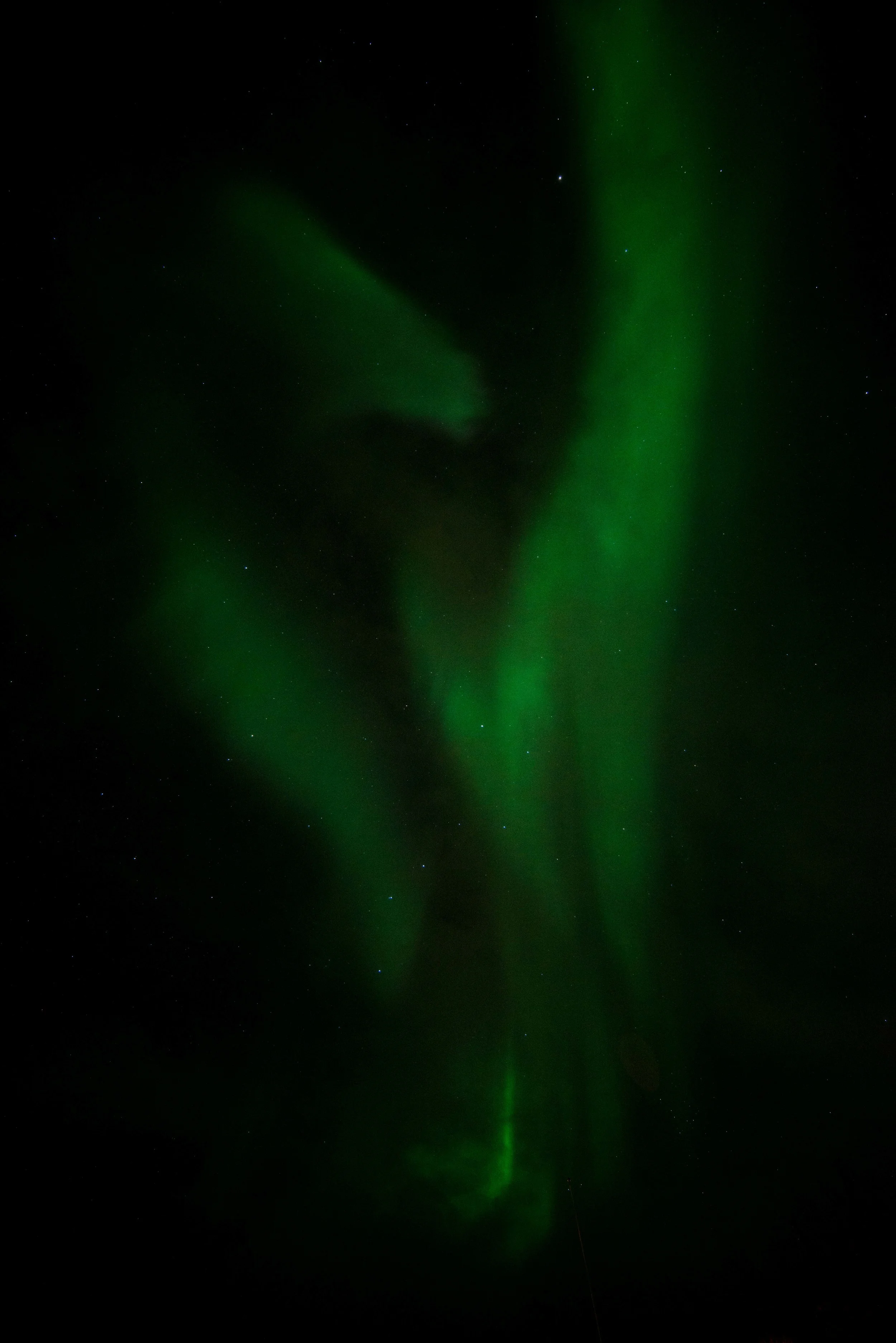 DSC_7116.jpg