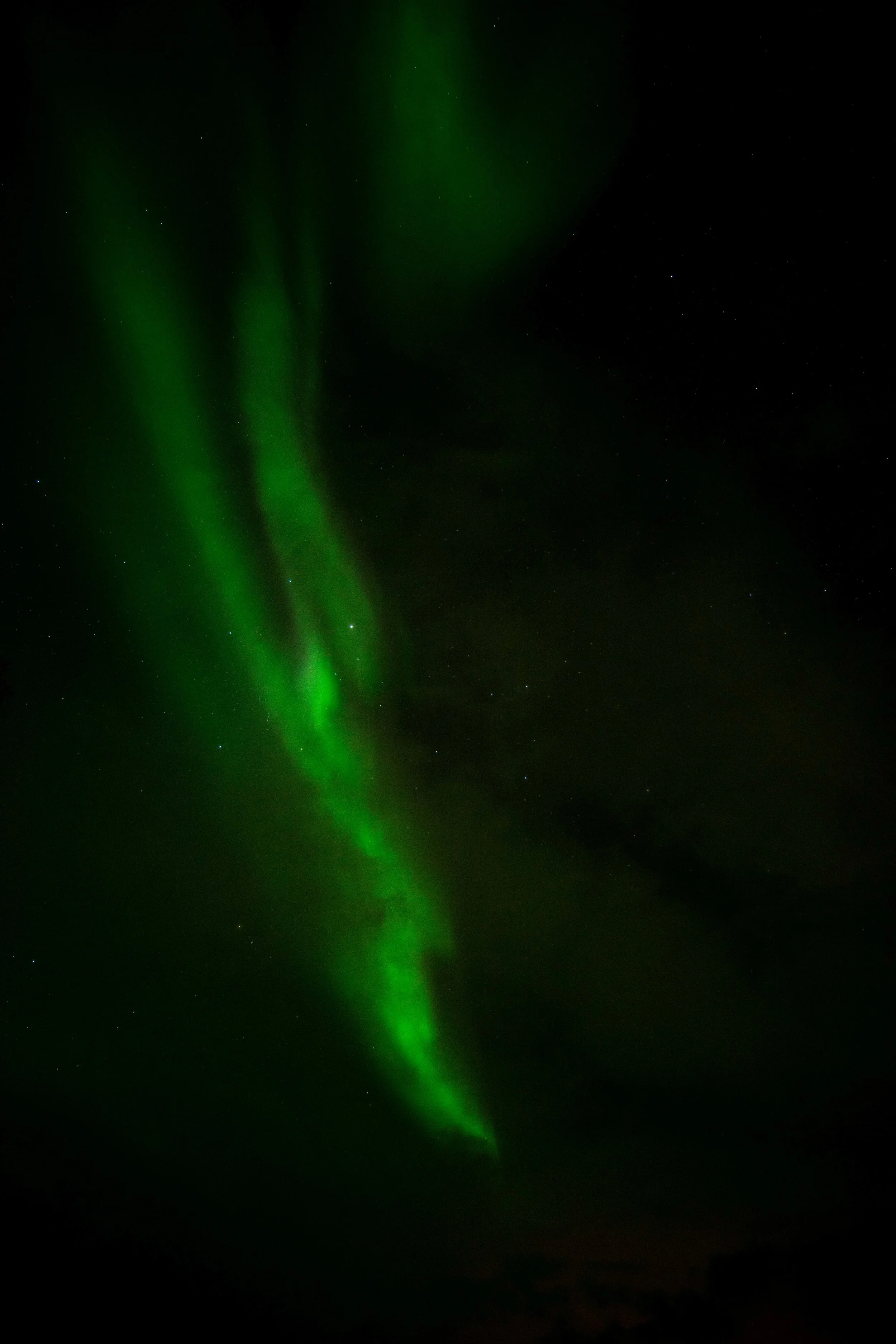 DSC_7122.jpg