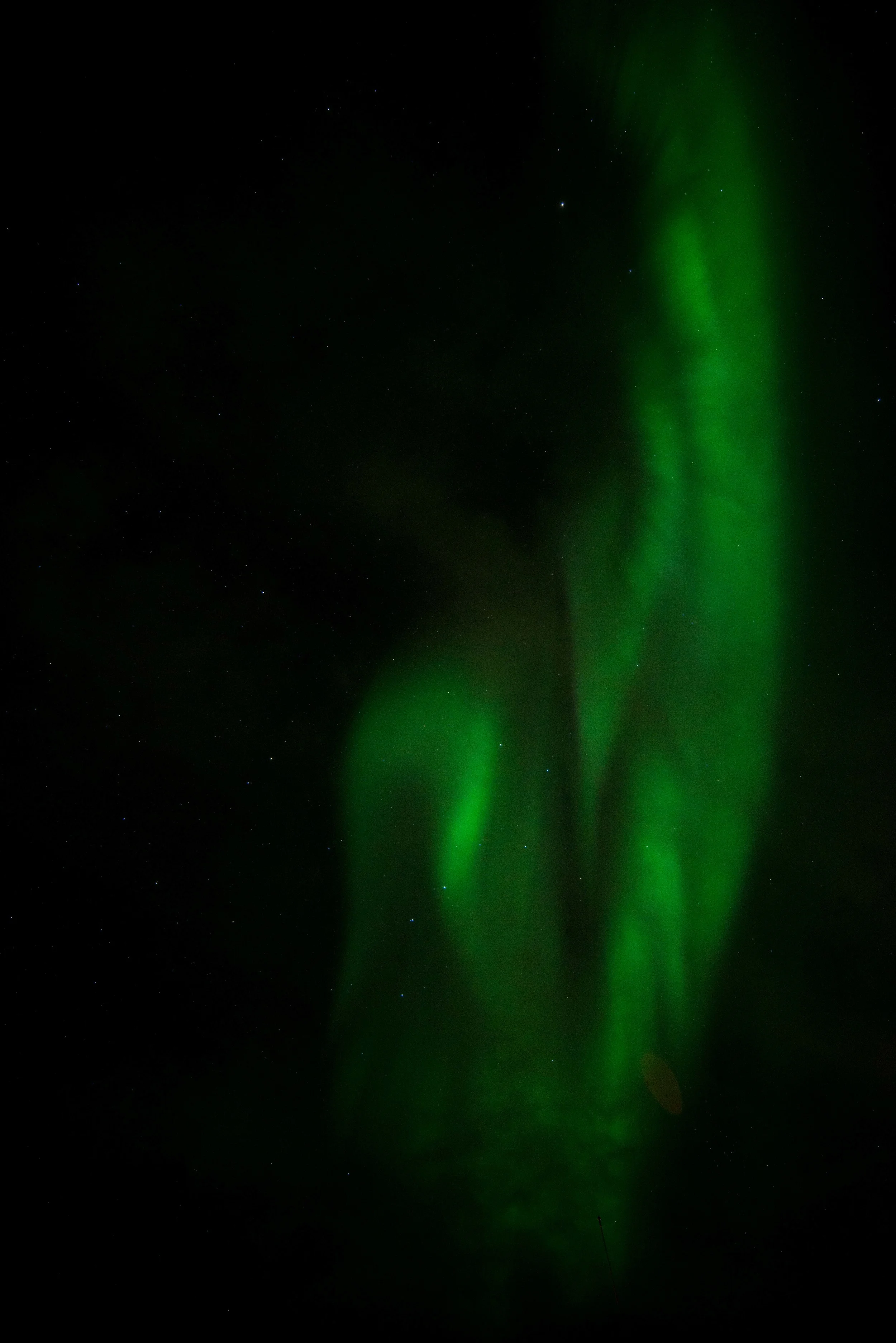 DSC_7124.jpg