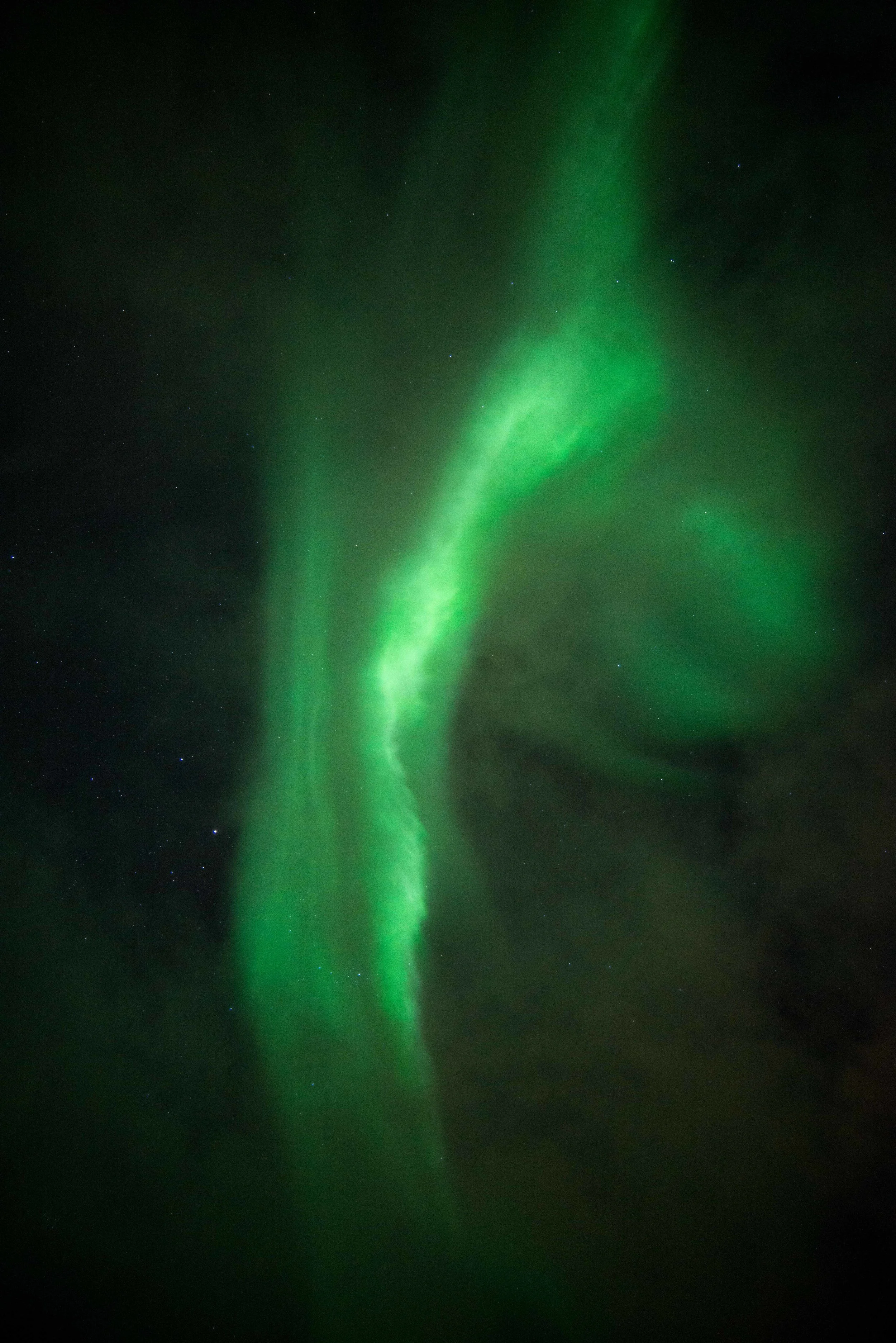 DSC_7079.jpg