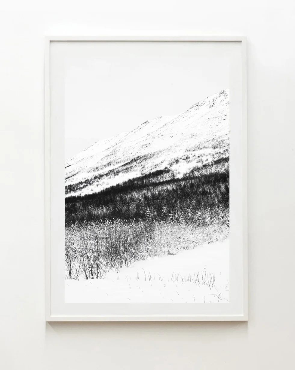 Nick_Horan_Arctic_north_white_frame.jpg