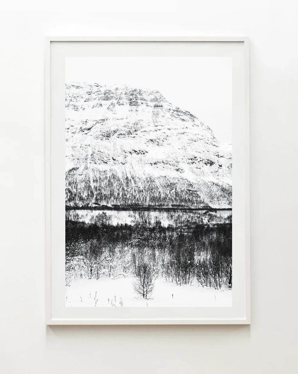 Nick_Horan_Arctic_East_white_frame.jpg
