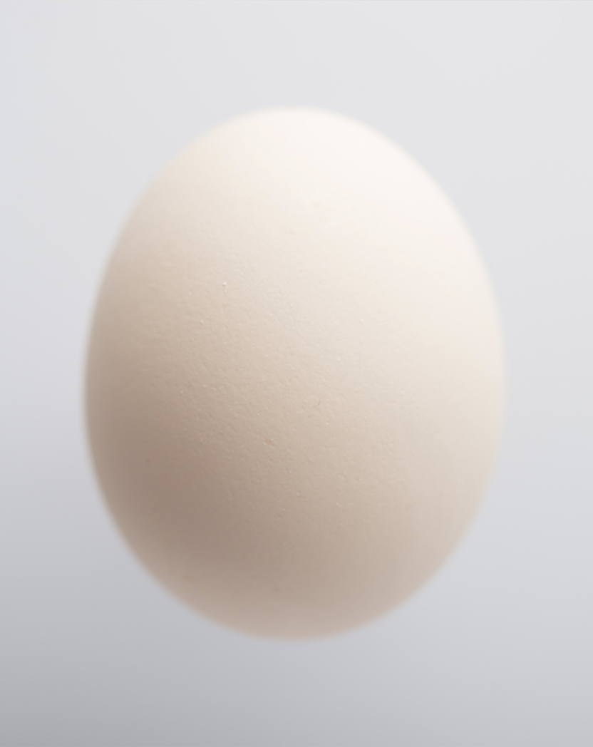OvoidII_Nick-Horan.png