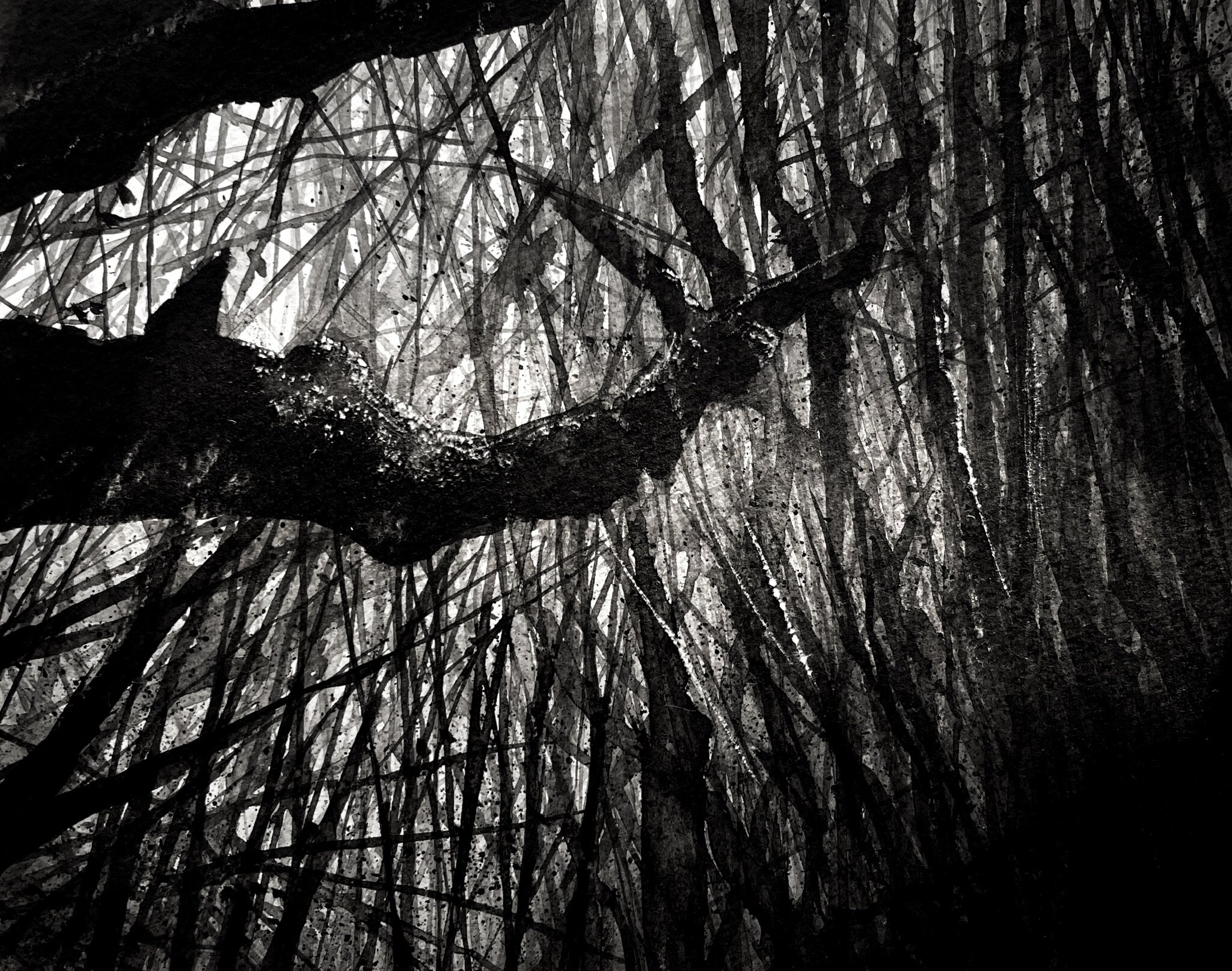 Hedgerow 01