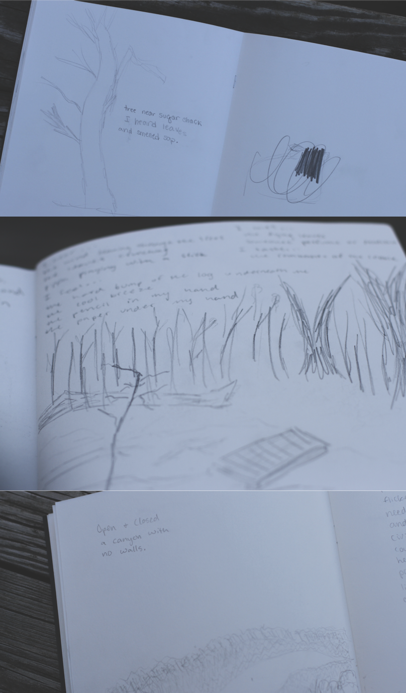 Excerpts of participants’ sketchbooks, Acts of Locating, Land School, Lake Country Montessori School, Minneapolis, MN, 2018