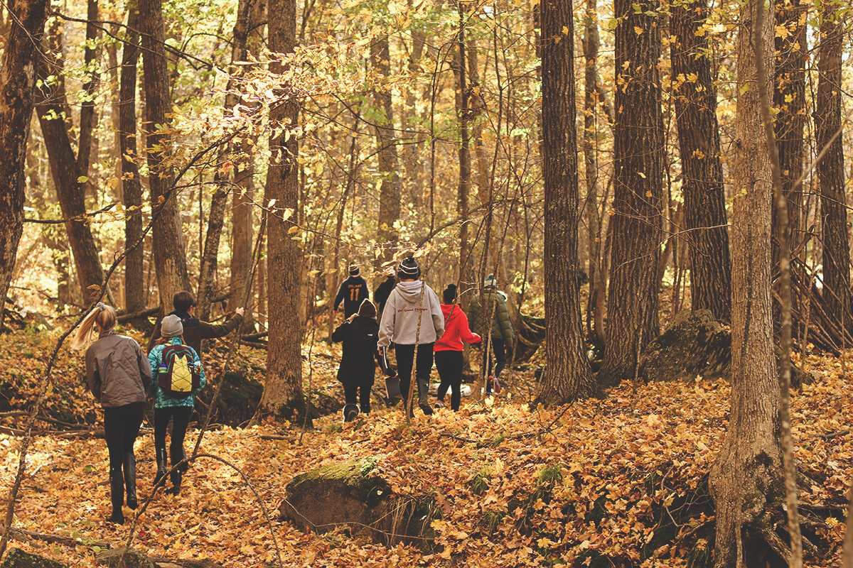 landschoolautumn2.png
