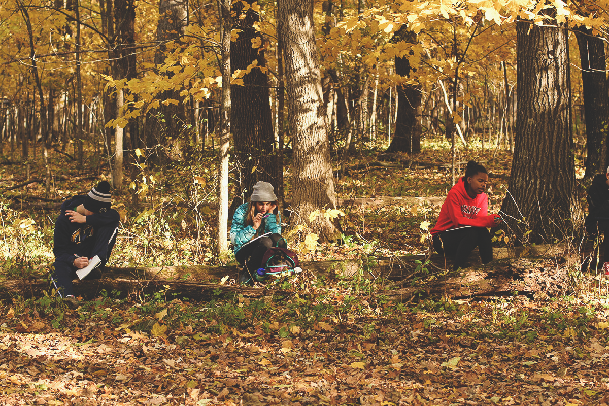 landschoolautumn1.png