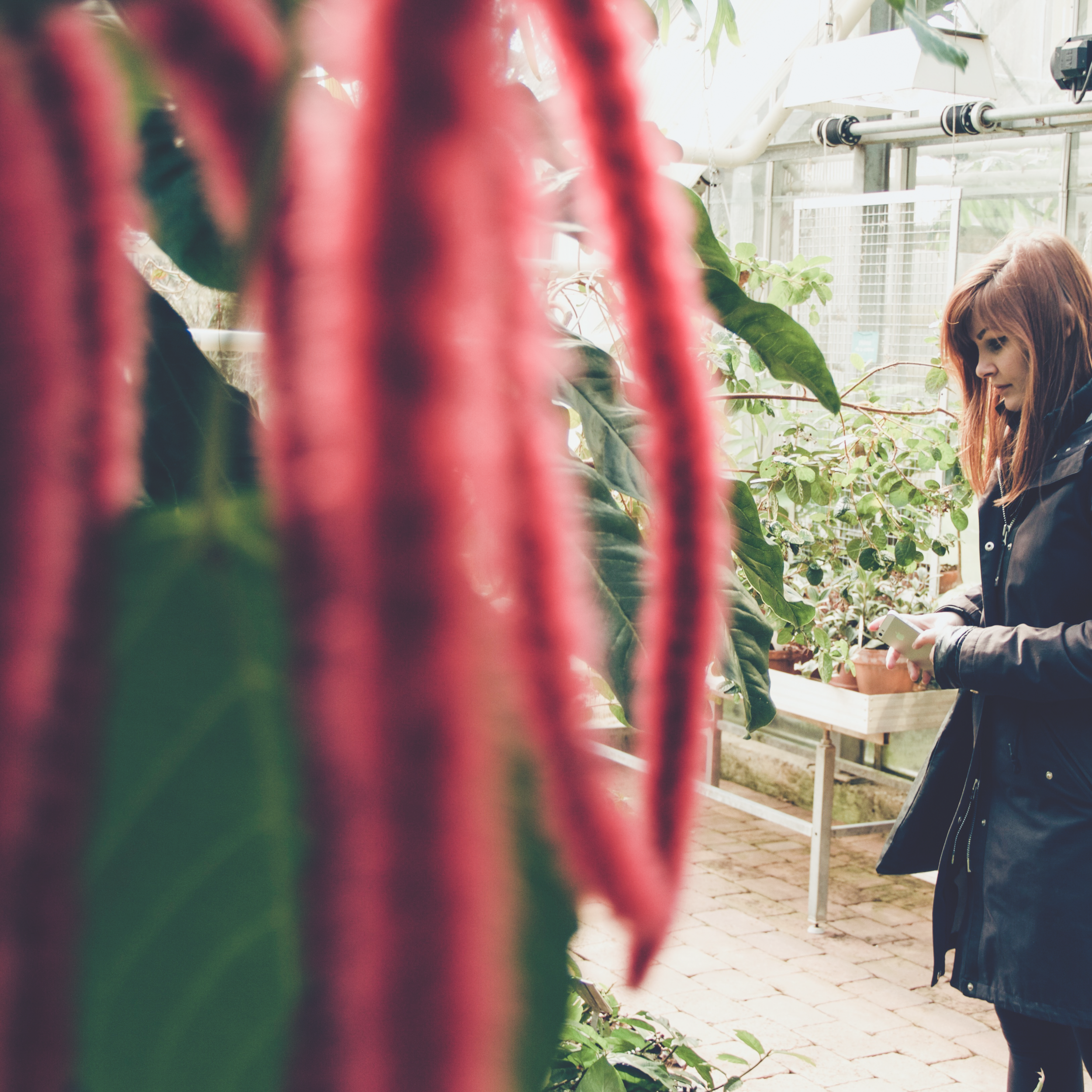 Workshop view, Attuning to Place, Botanical Garden, Lund, Sweden, 2019