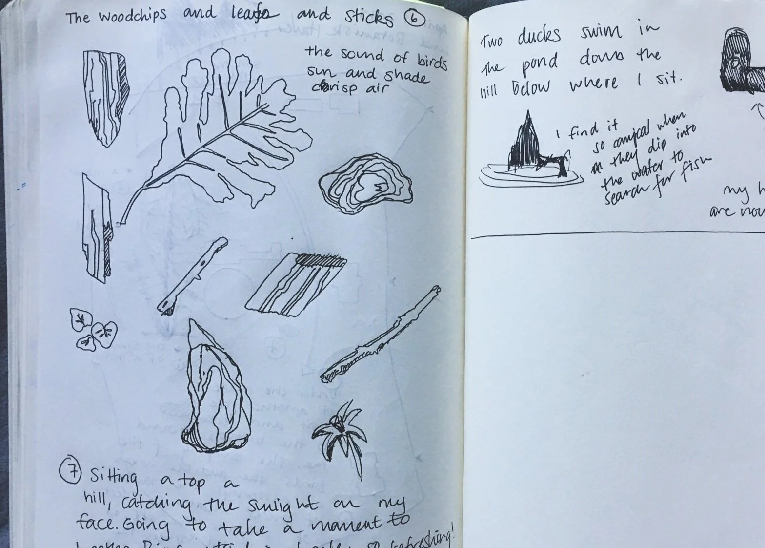 Participant’s sketchbook, Attuning to Place, Botanical Garden, Lund, Sweden, 2019