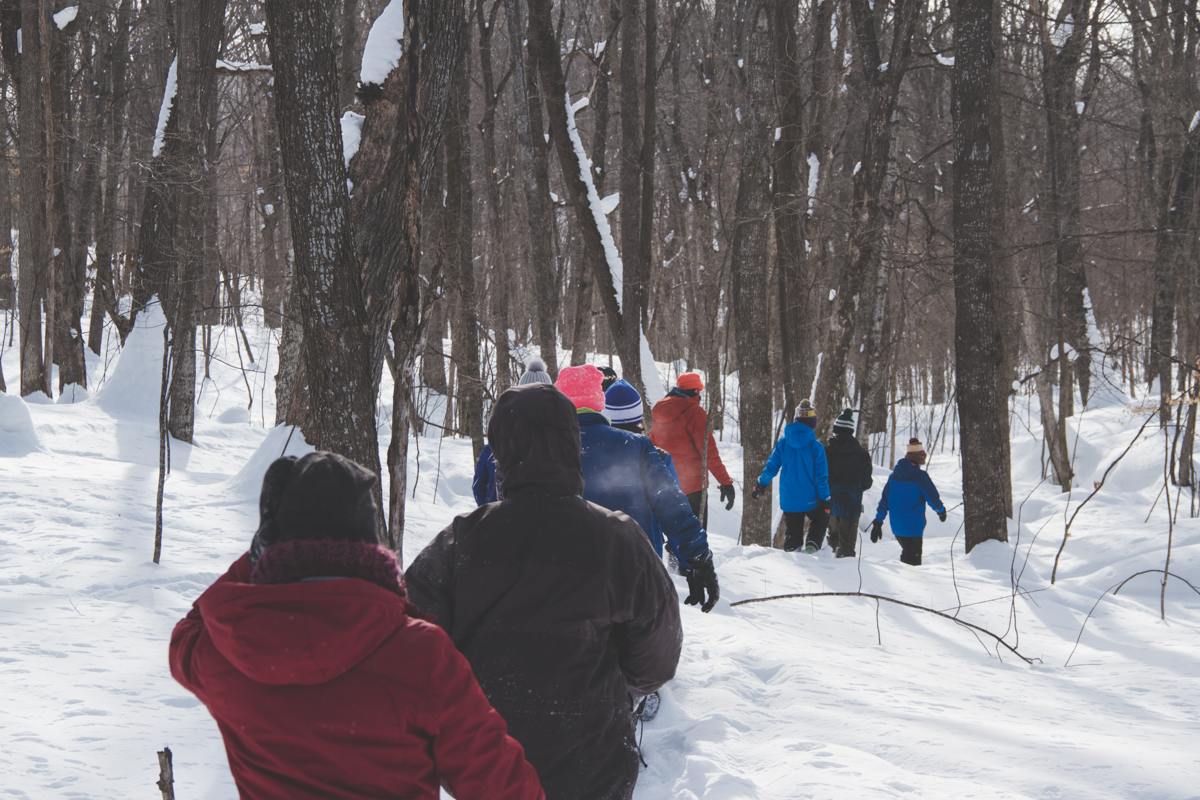 Activity view, Acts of Locating, Land School, Lake Country Montessori School, Minneapolis, MN, 2019