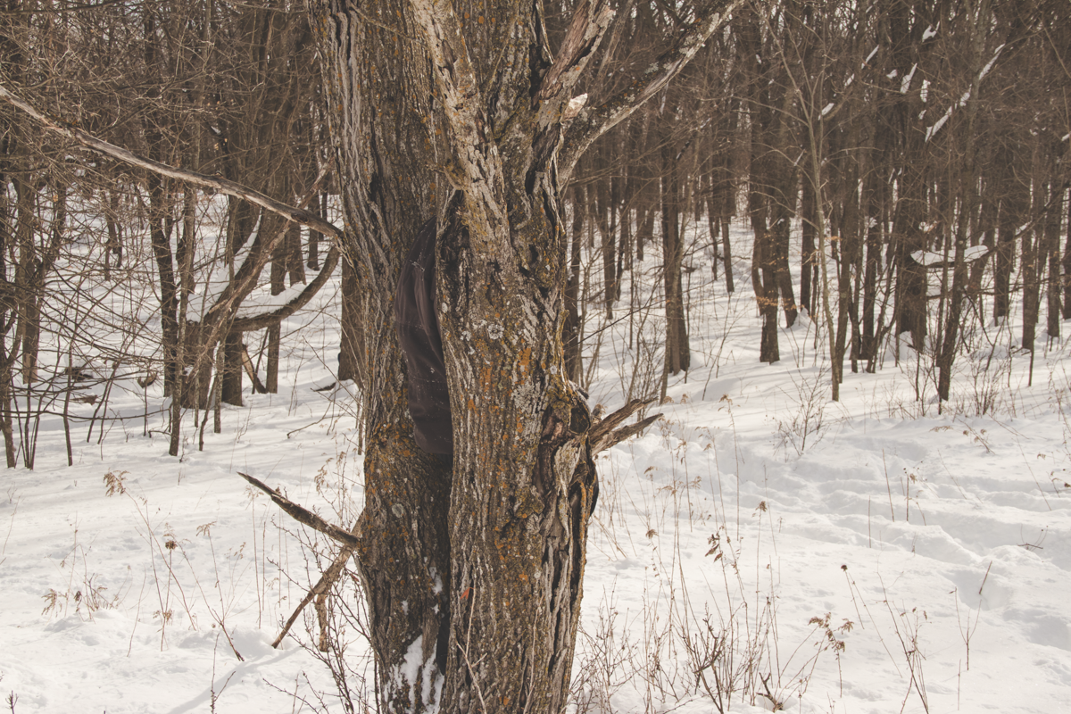 Activity view, Acts of Locating, Land School, Lake Country Montessori School, Minneapolis, MN, 2019