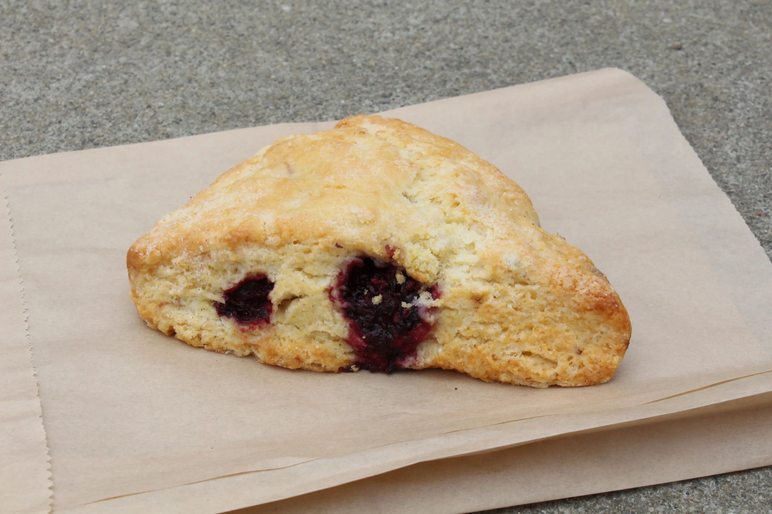 Warming Hut's Blueberry Scone 