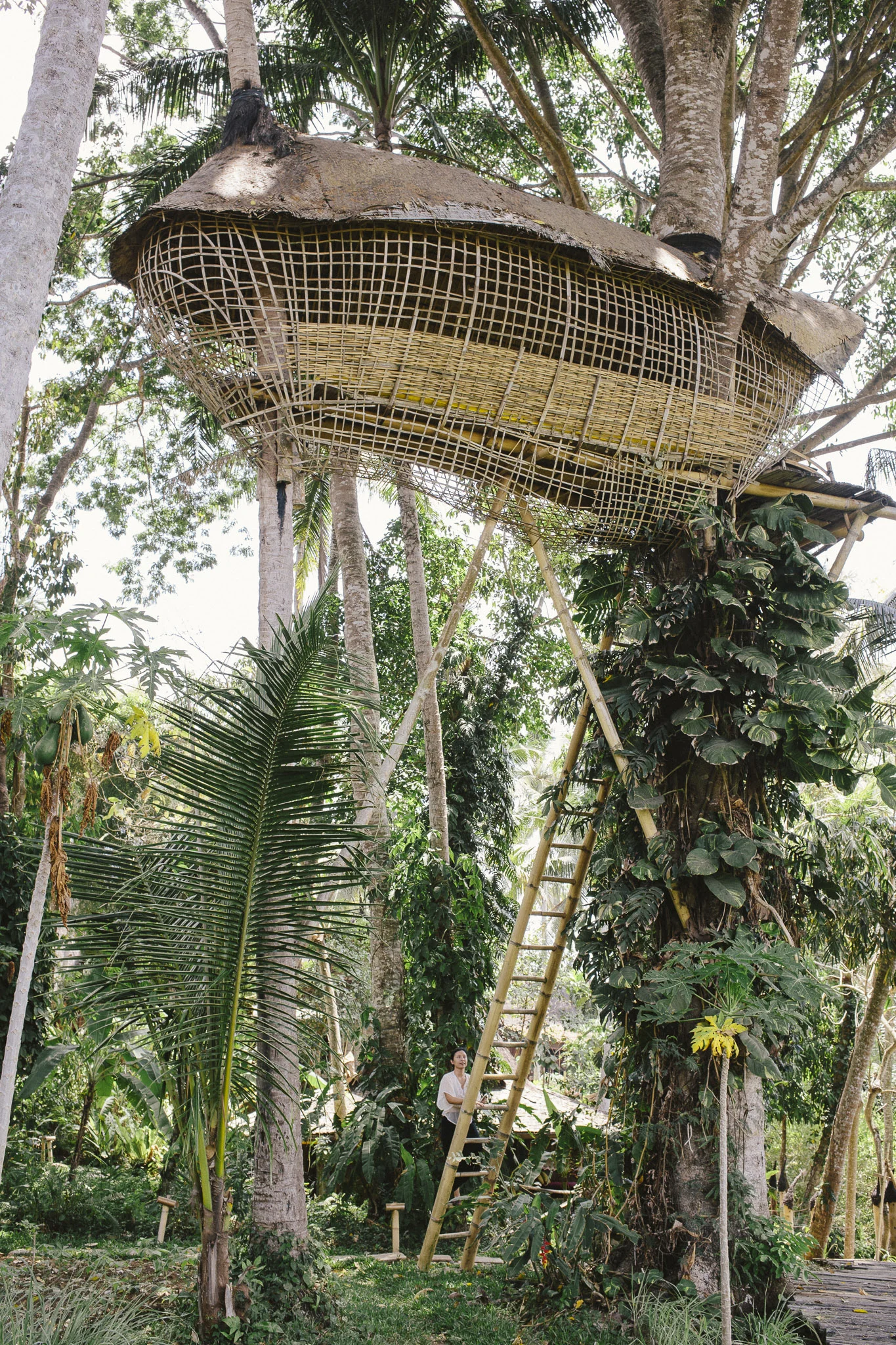 Bambu Indah, Bali. 2015.