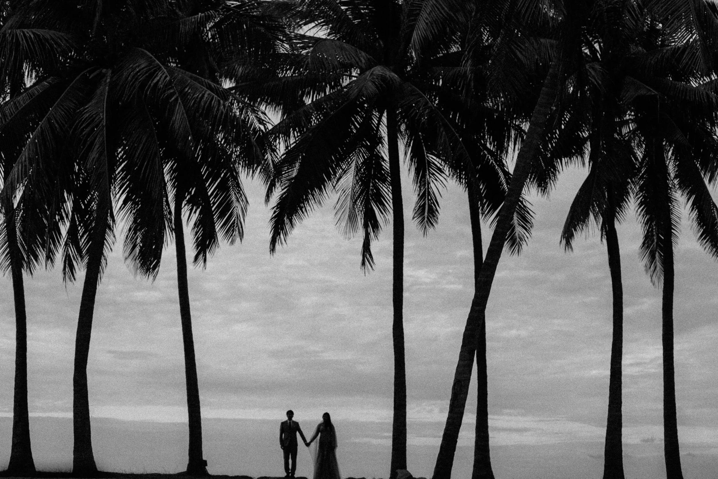 singapore-wedding-photographer-photography-wmt2017-023.jpg